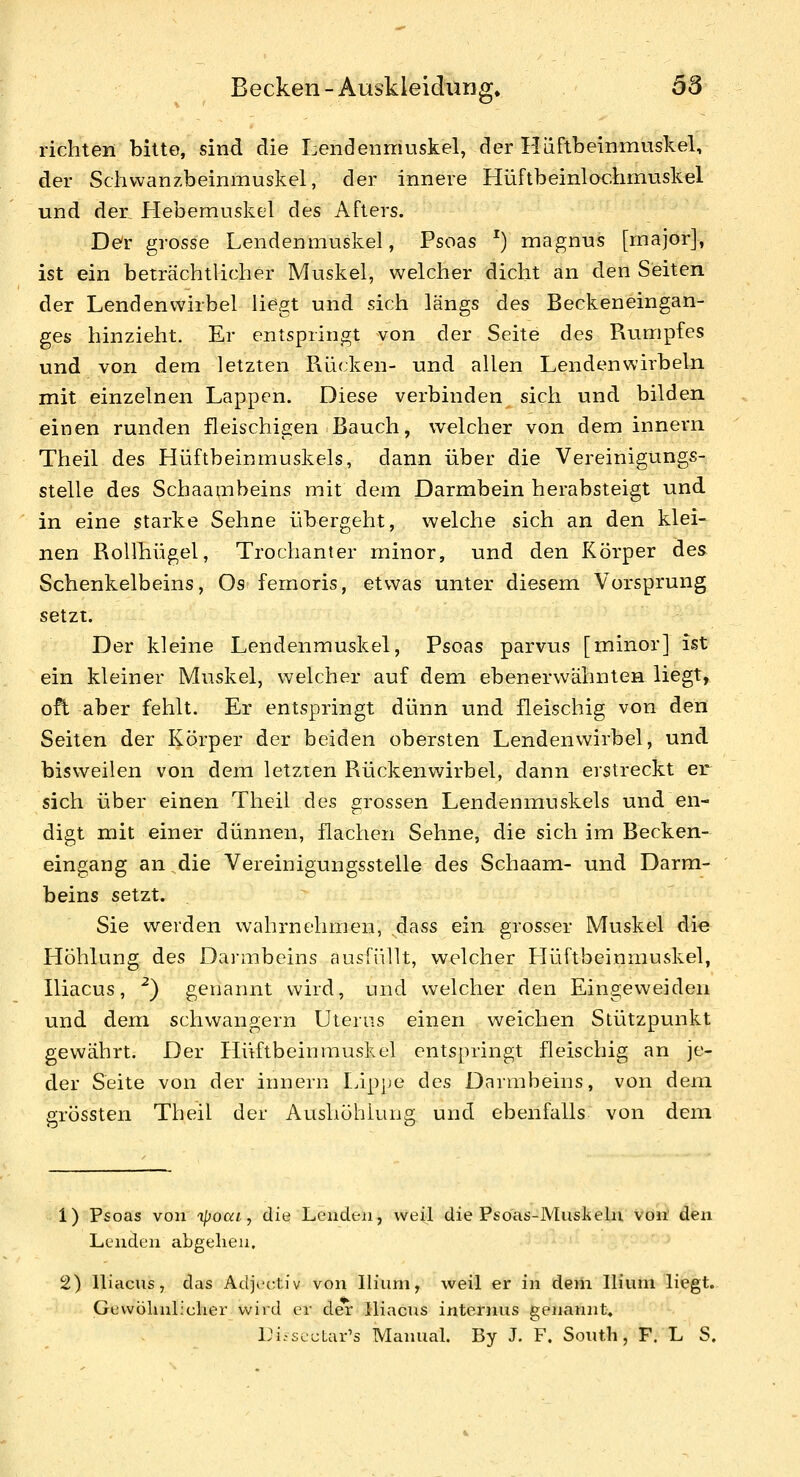 richten bitte, sind die Lendenmuskel, der Hiiftbeinmuskel, der Schvvanzbeinmuskel, der innere Hüftbeinlochrnuskel und der Hebemuskel des Afters. Der grosse Lendenmuskel, Psoas ^) magnus [major], ist ein beträchtlicher Muskel, welcher dicht an den Seiten der Lendenwirbel liegt und sich längs des Beckeneingan- ges hinzieht. Er entspringt von der Seite des Rumpfes und von dem letzten Piücken- und allen Lendenwirbeln mit einzelnen Lappen. Diese verbinden sich und bilden einen runden fleischigen Bauch, welcher von dem innern Theil des Hüftbeinmuskels, dann über die Vereinigüngs- stelle des Schaambeins mit dem Darmbein herabsteigt und in eine starke Sehne übergeht, welche sich an den klei- nen Rollhügel, Trochanter minor, und den Körper des Schenkelbeins, Os femoris, etwas unter diesem Vorsprung setzt. Der kleine Lendenmuskel, Psoas parvus [minor] ist ein kleiner Muskel, welcher auf dem ebenerwähnten liegt, oft aber fehlt. Er entspringt dünn und fleischig von den Seiten der Körper der beiden obersten Lendenwirbel, und bisweilen von dem letzten Rückenwirbel, dann erstreckt er sich über einen Theil des grossen Lendenmuskels und en- digt mit einer dünnen, flachen Sehne, die sich im Becken- eingang an^die Vereinigungsstelle des Schaam- und Darm- beins setzt. Sie werden wahrnehmen, dass ein grosser Muskel die Höhlung des Darmbeins ausfüllt, welcher Hüftbeinmuskel, Iliacus, ^) genannt wird, und welcher den Eingeweiden und dem schwangern Uterus einen weichen Stützpunkt gewährt. Der Hüftbeinrauskel entspringt fleischig an je- der Seite von der innern Lipjje des Darmbeins, von dem grössten Theil der Aushöhlung und ebenfalls von dem 1) Psoas von ipoai, die Lenden, weil die Psoas-Muskeln von den Lenden abgehen. 2) Iliacus, das Adjectiv von llium, weil er in dem Iliiini liegt. Gewöhnlicher wird er der Hiacus interjius genannt, Di.sccLar's Manual. By J. F, South, F. L S.