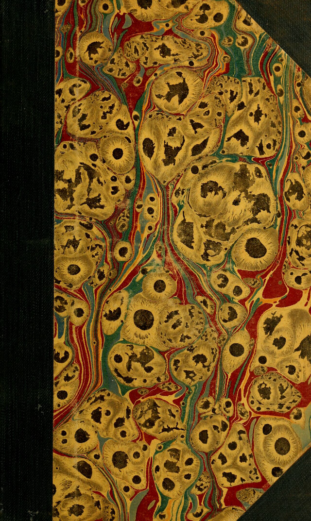 No text description is available for this image