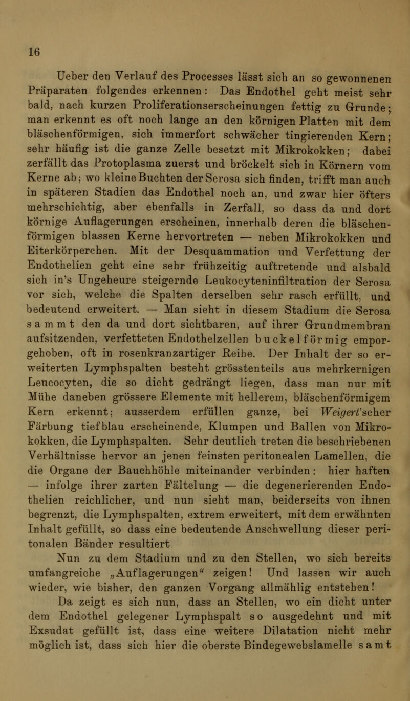 Ueber den Verlauf des Processes lässt sich an so gewonnenen Präparaten folgendes erkennen : Das Endothel geht meist sehr bald, nach kurzen Proliferationserscheinungen fettig zu Grunde* man erkennt es oft noch lange an den körnigen Platten mit dem bläschenförmigen, sich immerfort schwächer tingierenden Kern; sehr häufig ist die ganze Zelle besetzt mit Mikrokokken; dabei zerfällt das Protoplasma zuerst und bröckelt sich in Körnern vom Kerne ab; wo kleine Buchten der Serosa sich finden, trifft man auch in späteren Stadien das Endothel noch an, und zwar hier öfters mehrschichtig, aber ebenfalls in Zerfall, so dass da und dort körnige Auflagerungen erscheinen, innerhalb deren die bläschen- förmigen blassen Kerne hervortreten — neben Mikrokokken und Eiterkörperchen. Mit der Desquammation und Verfettung der Endothelien geht eine sehr frühzeitig auftretende und alsbald sich in's Ungeheure steigernde Leukocyteninfiltration der Serosa vor sich, welche die Spalten derselben sehr rasch erfüllt, und bedeutend erweitert. — Man sieht in diesem Stadium die Serosa sammt den da und dort sichtbaren, auf ihrer Grundmembran aufsitzenden, verfetteten Endothelzellen buckeiförmig empor- gehoben, oft in rosenkranzartiger Reihe. Der Inhalt der so er- weiterten Lymphspalten besteht grösstenteils aus mehrkernigen Leucocyten, die so dicht gedrängt liegen, dass man nur mit Mühe daneben grössere Elemente mit hellerem, bläschenförmigem Kern erkennt; ausserdem erfüllen ganze, bei Weigerf scher Färbung tiefblau erscheinende, Klumpen und Ballen von Mikro- kokken, die Lymphspalten. Sehr deutlich treten die beschriebenen Verhältnisse hervor an jenen feinsten peritonealen Lamellen, die die Organe der Bauchhöhle miteinander verbinden: hier haften — infolge ihrer zarten Fältelung — die degenerierenden Endo- thelien reichlicher, und nun sieht man, beiderseits von ihnen begrenzt, die Lymphspalten, extrem erweitert, mit dem erwähnten Inhalt gefüllt, so dass eine bedeutende Anschwellung dieser peri- tonalen Bänder resultiert Nun zu dem Stadium und zu den Stellen, wo sich bereits umfangreiche „Auflagerungen^ zeigen! Und lassen wir auch wieder, wie bisher, den ganzen Vorgang allmählig entstehen! Da zeigt es sich nun, dass an Stellen, wo ein dicht unter dem Endothel gelegener Lymphspalt s o ausgedehnt und mit Exsudat gefüllt ist, dass eine weitere Dilatation nicht mehr möglich ist, dass sich hier die oberste Bindegewebslamelle samt