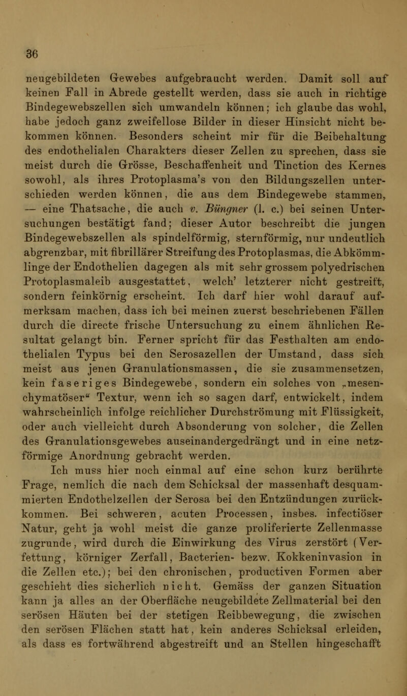 neugebildeten Gewebes aufgebraucht werden. Damit soll auf keinen Fall in Abrede gestellt werden, dass sie auch in richtige Bindegewebszellen sich umwandeln können; ich glaube das wohl, habe jedoch ganz zweifellose Bilder in dieser Hinsicht nicht be- kommen können. Besonders scheint mir für die Beibehaltung des endothelialen Charakters dieser Zellen zu sprechen, dass sie meist durch die Grösse, Beschaffenheit und Tinction des Kernes sowohl, als ihres Protoplasma's von den Bildungszeilen unter- schieden werden können, die aus dem Bindegewebe stammen^ — eine Thatsache, die auch v. Büngner (1. c.) bei seinen Unter^ suchungen bestätigt fand; dieser Autor beschreibt die jungen Bindegewebszellen als spindelförmig, sternförmig, nur undeutlich abgrenzbar, mit fibrillärer Streifung des Protoplasmas, die Abkömm- linge der Endothelien dagegen als mit sehr grossem polyedrischen Protoplasmaleib ausgestattet, welch' letzterer nicht gestreift, sondern feinkörnig erscheint. Ich darf hier wohl darauf auf- merksam machen, dass ich bei meinen zuerst beschriebenen Fällen durch die directe frische Untersuchung zu einem ähnlichen Re- sultat gelangt bin. Ferner spricht für das Festhalten am endo- thelialen Typus bei den Serosazellen der Umstand, dass sich meist aus jenen Granulationsmassen, die sie zusammensetzen, kein faseriges Bindegewebe, sondern ein solches von ,.mesen- chymatöser Textur, wenn ich so sagen darf, entwickelt, indem wahrscheinlich infolge reichlicher Durchströraung mit Flüssigkeit, oder auch vielleicht durch Absonderung von solcher, die Zellen des Granulationsgewebes auseinandergedrängt und in eine netz- förmige Anordnung gebracht werden. Ich muss hier noch einmal auf eine schon kurz berührte Frage, nemlich die nach dem Schicksal der massenhaft desquam- mierten Endothelzellen der Serosa bei den Entzündungen zurück- kommen. Bei schweren, acuten Processen, insbes. infectiöser Natur, geht ja wohl meist die ganze proliferierte Zellenmasse zugrunde, wird durch die Einwirkung des Virus zerstört (Ver- fettung, körniger Zerfall, Bacterien- bezw. Kokkeninvasion in die Zellen etc.); bei den chronischen, productiven Formen aber geschieht dies sicherlich nicht. Gemäss der ganzen Situation kann ja alles an der Oberfläche neugebildete Zellmaterial bei den serösen Häuten bei der stetigen Reibbewegung, die zwischen den serösen Flächen statt hat, kein anderes Schicksal erleiden, als dass es fortwährend abgestreift und an Stellen hingeschafft