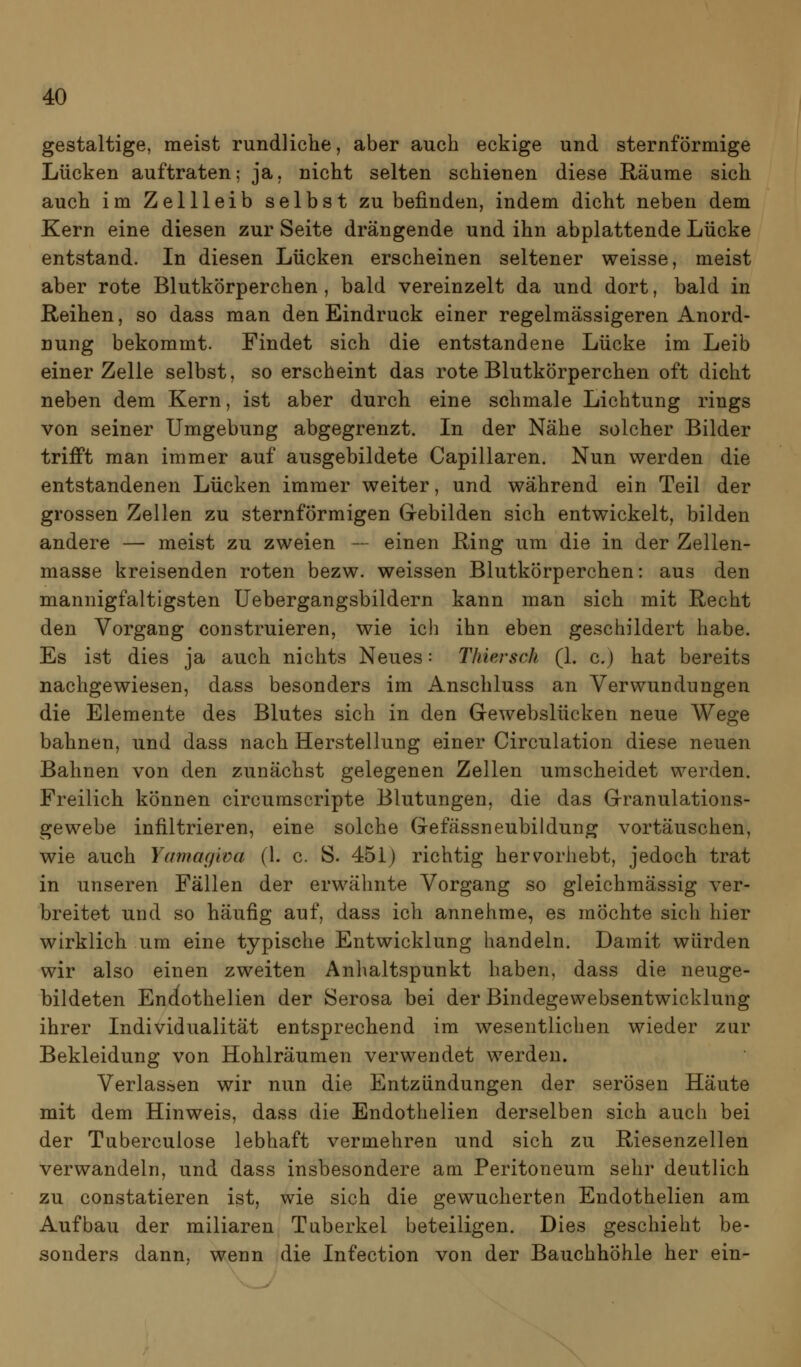 gestaltige, meist rundliche, aber auch eckige und sternförmige Lücken auftraten; ja, nicht selten schienen diese Räume sich auch im Zellleib selbst zu befinden, indem dicht neben dem Kern eine diesen zur Seite drängende und ihn abplattende Lücke entstand. In diesen Lücken erscheinen seltener weisse, meist aber rote Blutkörperchen , bald vereinzelt da und dort, bald in Reihen, so dass man den Eindruck einer regelmässigeren Anord- nung bekommt. Findet sich die entstandene Lücke im Leib einer Zelle selbst, so erscheint das rote Blutkörperchen oft dicht neben dem Kern, ist aber durch eine schmale Lichtung rings von seiner Umgebung abgegrenzt. In der Nähe solcher Bilder trifft man immer auf ausgebildete Capillaren. Nun werden die entstandenen Lücken immer weiter, und während ein Teil der grossen Zellen zu sternförmigen G-ebilden sich entwickelt, bilden andere — meist zu zweien — einen Ring um die in der Zellen- masse kreisenden roten bezw. weissen Blutkörperchen: aus den mannigfaltigsten üebergangsbildern kann man sich mit Recht den Vorgang construieren, wie ich ihn eben geschildert habe. Es ist dies ja auch nichts Neues: Thiersch (1. c.) hat bereits nachgewiesen, dass besonders im Anschluss an Verwundungen die Elemente des Blutes sich in den Gewebslücken neue Wege bahnen, und dass nach Herstellung einer Circulation diese neuen Bahnen von den zunächst gelegenen Zellen urascheidet werden. Freilich können circumscripte Blutungen, die das Grranulations- gewebe infiltrieren, eine solche Gefässneubildung vortäuschen, wie auch Yamagwa (1. c. S. 451) richtig hervorhebt, jedoch trat in unseren Fällen der erwähnte Vorgang so gleichmässig ver- breitet und so häufig auf, dass ich annehme, es möchte sich hier wirklich um eine typische Entwicklung handeln. Damit würden wir also einen zweiten Anhaltspunkt haben, dass die neuge- bildeten Endothelien der Serosa bei der Bindegewebsentwicklung ihrer Individualität entsprechend im wesentlichen wieder zur Bekleidung von Hohlräumen verwendet werden. Verlassen wir nun die Entzündungen der serösen Häute mit dem Hinweis, dass die Endothelien derselben sich auch bei der Tuberculose lebhaft vermehren und sich zu Riesenzellen verwandeln, und dass insbesondere am Peritoneum sehr deutlich zu constatieren ist, wie sich die gewucherten Endothelien am Aufbau der miliaren Tuberkel beteiligen. Dies geschieht be- sonders dann, wenn die Infection von der Bauchhöhle her ein-