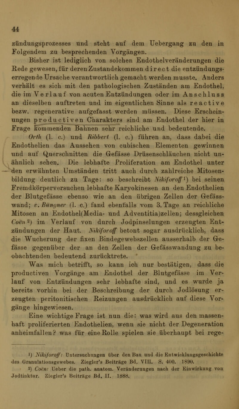 Zündungsprozesses und steht auf dem Uebergang zu den in Folgendem zu besprechenden Vorgängen. Bisher ist lediglich von solchen Endothelveränderungen die Rede gewesen, für deren Zustandekommen d i r e c t die entzündungs- erregende Ursache verantwortlich gemacht werden musste. Anders verhält es sich mit den pathologischen Zuständen am Endothel, die im Verlauf von acuten Entzündungen oder im An s chlus s an dieselben auftreten und im eigentlichen Sinne als reactive bezw. regenerative aufgefasst werden müssen. Diese Erschein- ungen productiven Charakters sind am Endothel der hier in Frage kommenden Bahnen sehr reichliche und bedeutende. Orfh (1. c.) und Ribberi (L c.) führen an, dass dabei die Endothelien das Aussehen von cubischen Elementen gewinnen und auf Querschnitten die Gefässe Drüsenschläuchen nicht un- \ ähnlich sehen» Die lebhafte Proliferation am Endothel unter --Men erwähnten Umständen tritt auch durch zahlreiche Mitosen- bildung deutlich zu Tage: so beschreibt Nikiforoff^) bei seinen Fremdkörperversuchen lebhafte Karyokinesen an den Endothelien der Blutgefässe ebenso wie an den übrigen Zellen der Gefäss- wand; v, Bnngner (l. c.) fand ebenfalls vom S.Tage an reichliche Mitosen an EndothelfMedia- und Adventitia)zellen; dessgleichen Coen 2) im Verlauf von durch Jodpinselungen erzeugten Ent- zündungen der Haut. Nikiforoff betont sogar ausdrücklich, dass die Wucherung der fixen Bindegewebszellen ausserhalb der Ge- fässe gegenüber der an den Zellen der Gefässwandung zu be- obachtenden bedeutend zurücktrete. Was mich betrifft, so kann ich nur bestätigen, dass die productiven Vorgänge am Endothel der Blutgefässe im Ver- lauf von Entzündungen sehr lebhafte sind, und es wurde ja bereits vorhin bei der Beschreibung der durch Jodlösung er- zeugten peritonitischen Reizungen ausdrücklich auf diese Vor- gänge hingewiesen. Eine wichtige Frage ist nun die: was wird aus den massen- haft proliferierten Endothelien, wenn sie nicht der Degeneration Anheimfallen? was für eine Rolle spielen sie überhaupt bei rege- 1) Nikiforoff: Untersuchungen über den Bau und die Entwicklungsgeschichte -des Granulationsgewebes. Ziegler's Beiträge Bd. VIII. S. 400. 1890. 2) Com: Ueber die path. anatom. Veränderungen nach der Einwirkung von Jodtinktur. Ziegler's Beiträge Bd. 11. 1888.