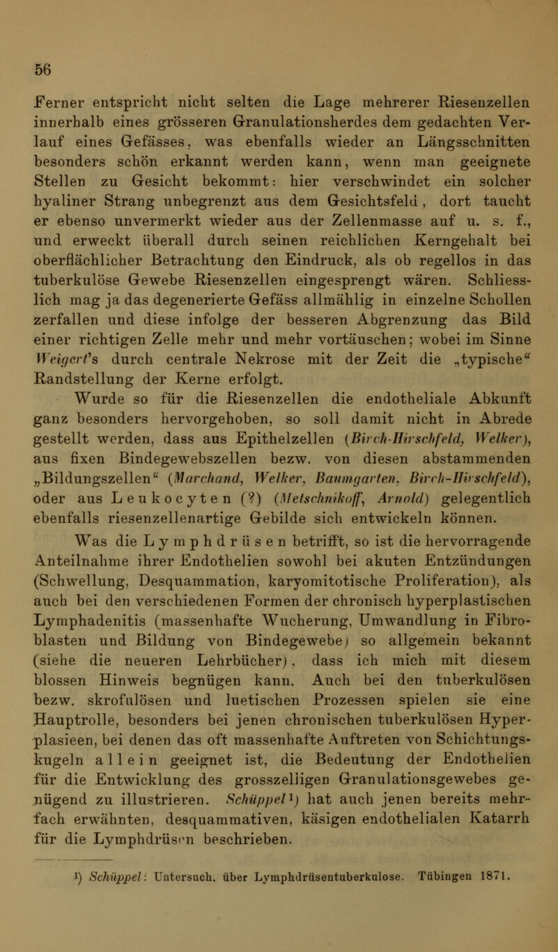 Ferner entspricht nicht selten die Lage mehrerer Riesenzellen innerhalb eines grösseren Grranulationsherdes dem gedachten Ver- lauf eines Gefässes. was ebenfalls wieder an Längsschnitten besonders schön erkannt werden kann, wenn man geeignete Stellen zu Gesicht bekommt: hier verschwindet ein solcher hyaliner Strang unbegrenzt aus dem Gesichtsfeld , dort taucht er ebenso unvermerkt wieder aus der Zellenmasse auf u. s. f., und erweckt überall durch seinen reichlichen Kerngehalt bei oberflächlicher Betrachtung den Eindruck, als ob regellos in das tuberkulöse Gewebe Riesenzellen eingesprengt wären. Schliess- lich mag ja das degenerierte Gefäss allmählig in einzelne Schollen zerfallen und diese infolge der besseren Abgrenzung das Bild einer richtigen Zelle mehr und mehr vortäuschen; wobei im Sinne Weigcrt^s durch centrale Nekrose mit der Zeit die „typische'^ Randstellung der Kerne erfolgt. Wurde so für die Riesenzellen die endotheliale Abkunft ganz besonders hervorgehoben, so soll damit nicht in Abrede gestellt werden, dass aus Epithelzellen [Birch-Hirschfeld, Weiher), aus fixen Bindegewebszellen bezw. von diesen abstammenden ,,Bildungszellen^^ (Marchand, Welker, Baitmgarfen. Birch-Hirschfeld), oder aus Leukocyten (?) {Metschnikoff^ Arnold) gelegentlich ebenfalls riesenzellenartige Gebilde sich entwickeln können. Was die Lymphdrüsen betrifft, so ist die hervorragende Anteilnahme ihrer Endothelien sowohl bei akuten Entzündungen (Schwellung, Desquammation, karyomitotische Proliferation), als auch bei den verschiedenen Formen der chronisch hyperplastischen Lymphadenitis (massenhafte Wucherung, Umwandlung in Fibro- blasten und Bildung von Bindegewebe; so allgemein bekannt (siehe die neueren Lehrbücher) , dass ich mich mit diesem blossen Hinweis begnügen kann. Auch bei den tuberkulösen bezw. skrofulösen und luetischen Prozessen spielen sie eine Hauptrolle, besonders bei jenen chronischen tuberkulösen Hyper- plasieen, bei denen das oft massenhafte Auftreten von Schichtungs- kugeln allein geeignet ist, die Bedeutung der Endotheüen für die Entwicklung des grosszelligen Granulationsgewebes ge- nügend zu illustrieren. Schiippel^) hat auch jenen bereits mehr- fach erwähnten, desquammativen, käsigen endothelialen Katarrh für die Lymphdrüsen beschrieben. 1) Schüppel: Untersuch, über Lymphdrüsentuberkulose. Tübingen 1871.