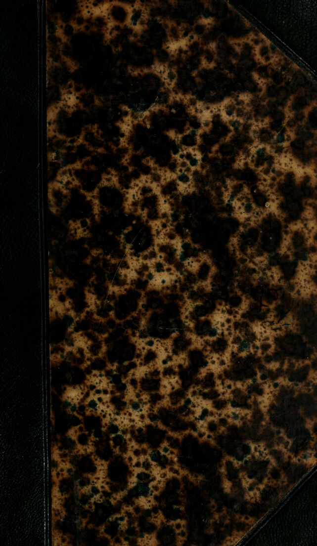 digitised image 1