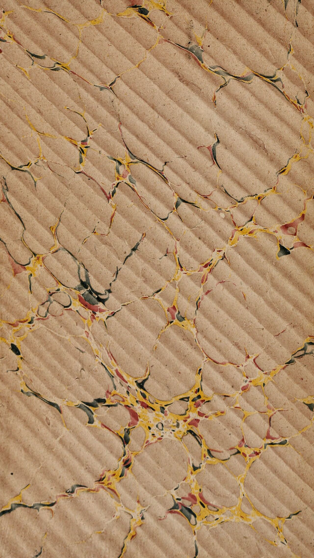 digitised image 2