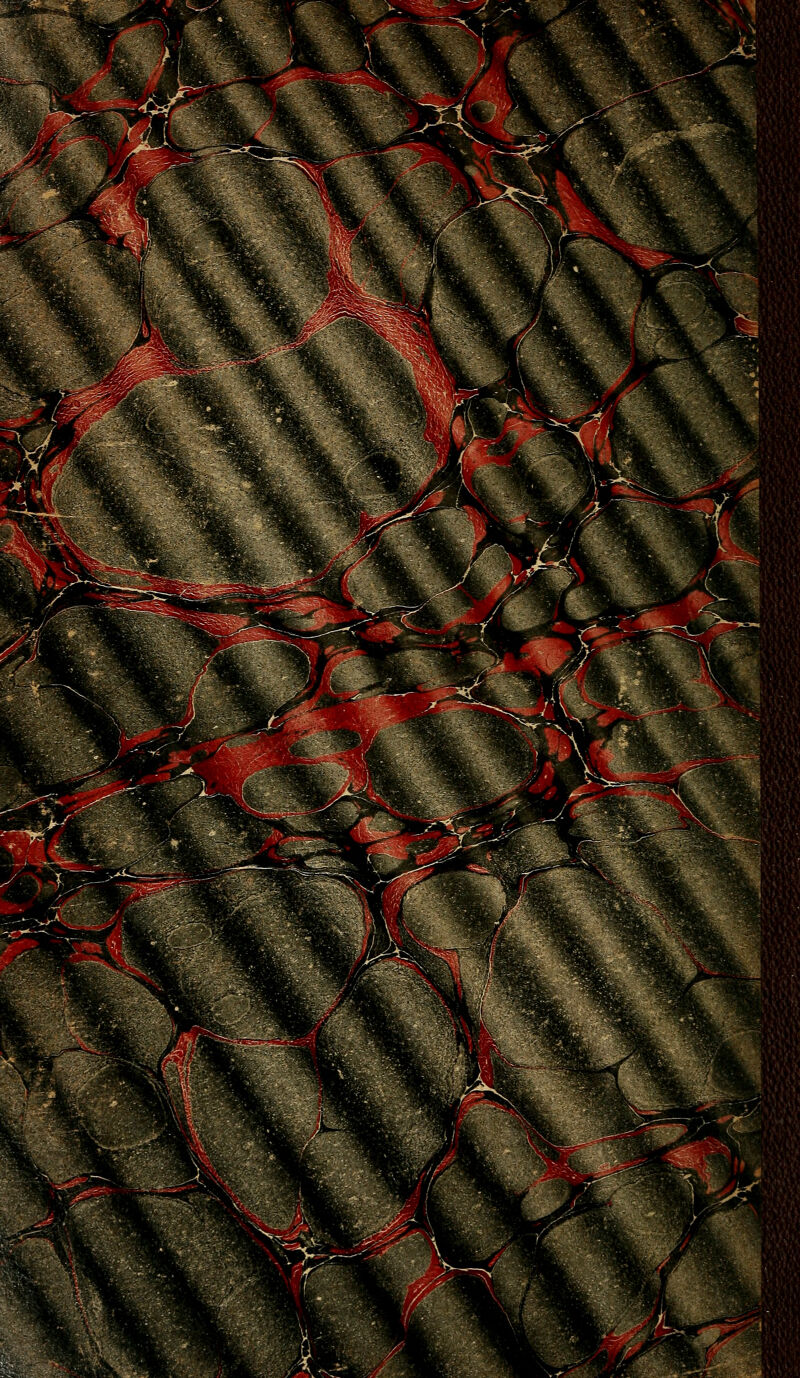 '^^. ■^ T~- ■ '  Jîi^ *. ^IPP -. ^^ '%^^m^ f