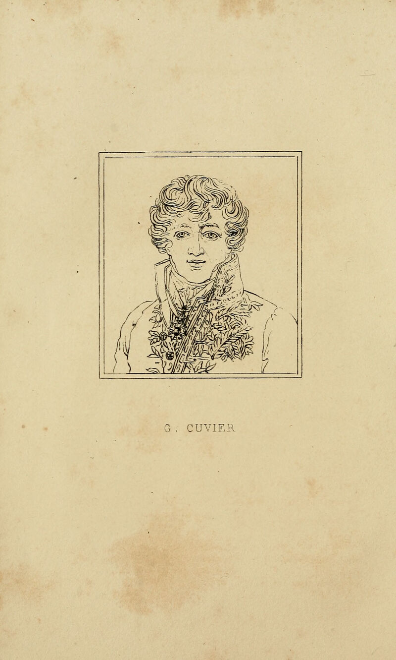 G . CUVIER