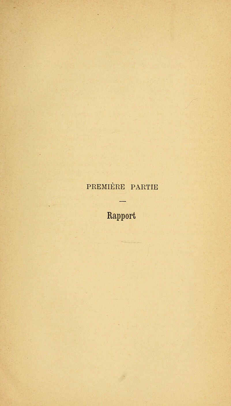 PREMIERE PARTIE Rapport