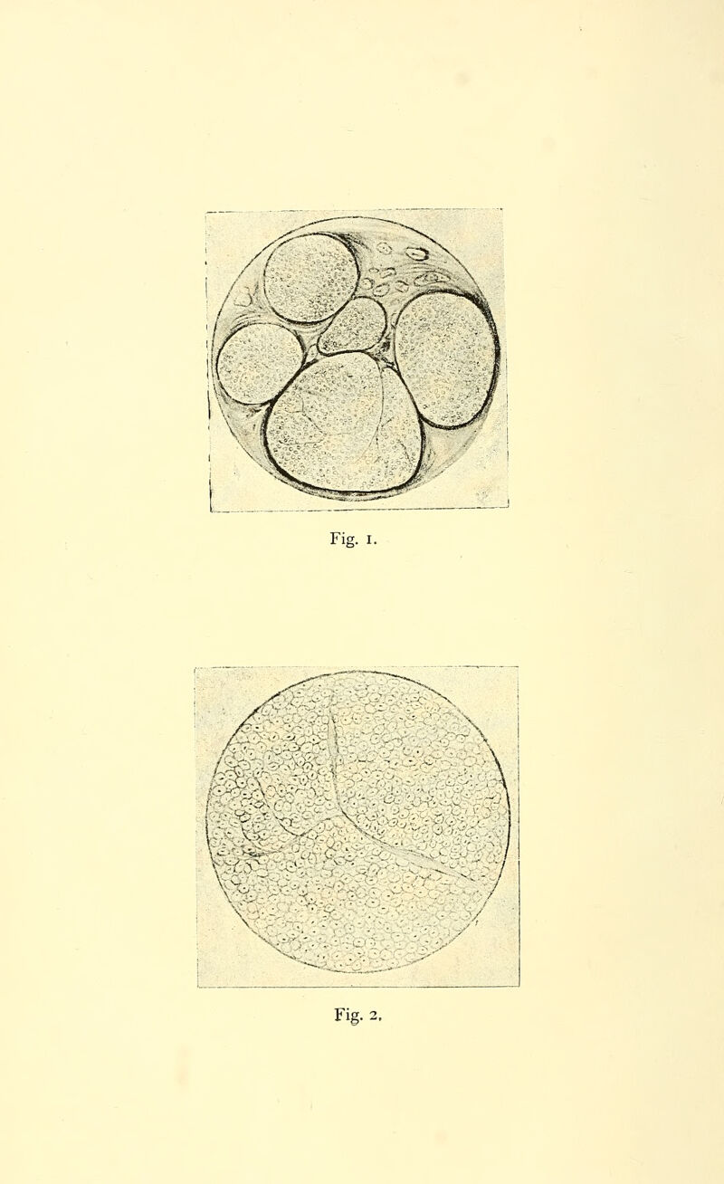 Fig. I. / / / .6; X. \ 1 1 ' / \ ' •-^-„^-' Fig.