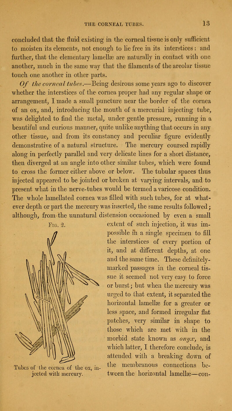 concluded that the fluid existing in the corneal tissue is only sufficient to moisten its elements, not enough to lie free in its interstices : and further, that the elementary lamellse are naturally in contact with one another, much in the same way that the filaments of the areolar tissue touch one another in other parts. Of the corneal tubes.—Being desirous some years ago to discover whether the interstices of the cornea proper had any regular shape or arrangement, I made a small puncture near the border of the cornea of an ox, and, introducing the mouth of a mercurial injecting tube, was delighted to find the metal, under gentle pressure, running in a beautiful and curious manner, quite unlike anything that occurs in any other tissue, and from its constancy and peculiar figure evidently demonstrative of a natural structure. The mercury coursed rapidly along in perfectly parallel and very delicate lines for a short distance, then diverged at an angle into other similar tubes, which were found to cross the former either above or below. The tubular spaces thus injected appeared to be jointed or broken at varying intervals, and to present what in the nerve-tubes would be termed a varicose condition. The whole lamellated cornea was filled with such tubes, for at what- ever depth or part the mercury was inserted, the same results followed; although, from the unnatural distension occasioned by even a small Fig. 3. extent of such injection, it was im- possible in a single specimen to fill the interstices of every portion of it, and at different depths, at one and the same time. These defiiutely- marked passages in the corneal tis- sue it seemed not very easy to force or burst; but when the mercury was urged to that extent, it separated the horizontal lamellae for a greater or less space, and formed irregular flat patches, very similar in shape to those which are met with in the morbid state known as onyx, and which latter, I therefore conclude, is attended with a breaking down of Tubes of -the cornea of the'ox, hi- the membranous connections be- jected with mercury. tween the horizontal lamellse—con-