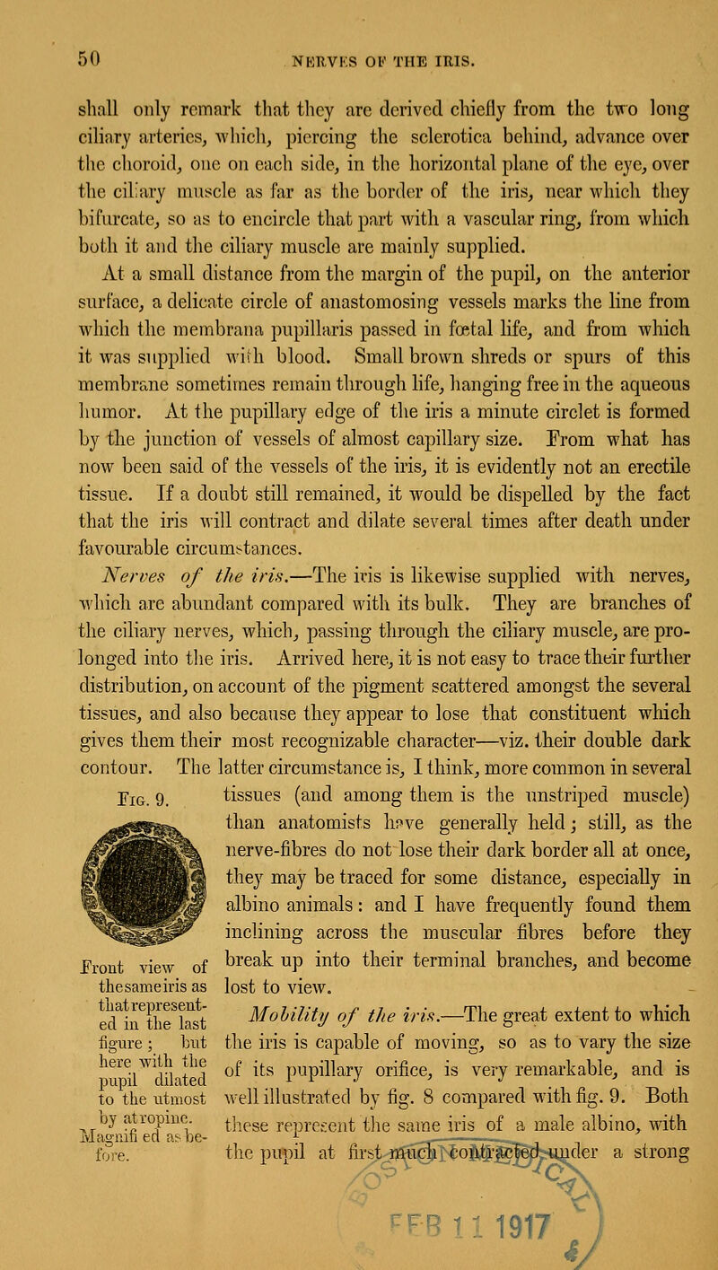 shall only remark that they are derived chiefly from the two long ciliary arteries, which, piercing the sclerotica behind, advance over the choroid, one on each side, in the horizontal plane of the eye, over the ciliary muscle as far as the border of the iris, near which they bifurcate, so as to encircle that part with a vascular ring, from which both it and the ciliary muscle are mainly supplied. At a small distance from the margin of the pupil, on the anterior surface, a delicate circle of anastomosing vessels marks the line from which the membrana papillaris passed in foetal life, and from which it was supplied with blood. Small brown shreds or spurs of this membrane sometimes remain through life, hanging free in the aqueous humor. At the pupillary edge of the iris a minute circlet is formed by the junction of vessels of almost capillary size. From what has now been said of the vessels of the iris, it is evidently not an erectile- tissue. If a doubt still remained, it would be dispelled by the fact that the iris will contract and dilate several times after death under favourable circumstances. Nerves of the iris.—The iris is likewise supplied with nerves, which are abundant compared with its bulk. They are branches of the ciliary nerves, which, passing through the ciliary muscle, are pro- longed into the iris. Arrived here, it is not easy to trace their further distribution, on account of the pigment scattered amongst the several tissues, and also because they appear to lose that constituent which gives them their most recognizable character—viz. their double dark contour. The latter circumstance is, I think, more common in several tissues (and among them is the unstriped muscle) than anatomists huve generally held; still, as the nerve-fibres do not lose their dark border all at once, they may be traced for some distance, especially in albino animals: and I have frequently found them inclining across the muscular fibres before they break up into their terminal branches, and become lost to view. Mobility of the iris.—The great extent to which the iris is capable of moving, so as to vary the size of its pupillary orifice, is very remarkable, and is well illustrated by fig. 8 compared with fig. 9. Both these represent the same iris of a male albino, with the pupil at first much contracted under a strong Fig. 9. .Front view of the same iris as that represent- ed in the last figure; but here with the pupil dilated to the utmost by atropine. Magnifi ed as be- fore. CFB ii 1917