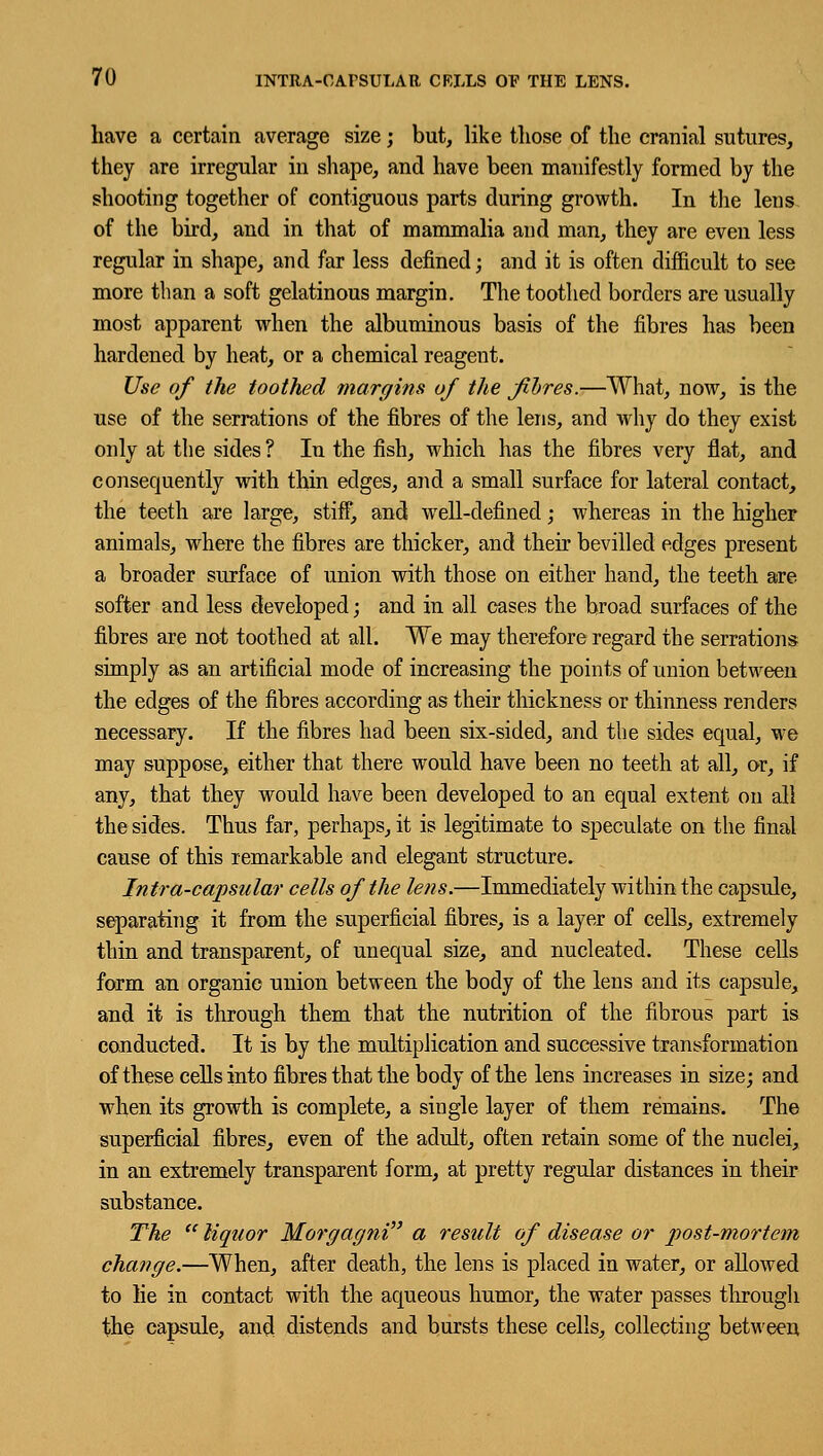 have a certain average size; but, like those of the cranial sutures, they are irregular in shape, and have been manifestly formed by the shooting together of contiguous parts during growth. In the lens of the bird, and in that of mammalia and man, they are even less regular in shape, and far less defined; and it is often difficult to see more than a soft gelatinous margin. The toothed borders are usually most apparent when the albuminous basis of the fibres has been hardened by heat, or a chemical reagent. Use of the toothed margins of the fibres.—What, now, is the use of the serrations of the fibres of the lens, and why do they exist only at the sides ? In the fish, which has the fibres very flat, and consequently with thin edges, and a small surface for lateral contact, the teeth are large, stiff, and well-defined; whereas in the higher animals, where the fibres are thicker, and their bevilled edges present a broader surface of union with those on either hand, the teeth are softer and less developed; and in all cases the broad surfaces of the fibres are not toothed at all. We may therefore regard the serrations simply as an artificial mode of increasing the points of union between the edges of the fibres according as their thickness or thinness renders necessary. If the fibres had been six-sided, and the sides equal, we may suppose, either that there would have been no teeth at all, or, if any, that they would have been developed to an equal extent on all the sides. Thus far, perhaps, it is legitimate to speculate on the final cause of this remarkable and elegant structure. Intra-capsular cells of the lens.—Immediately within the capsule, separating it from the superficial fibres, is a layer of cells, extremely thin and transparent, of unequal size, and nucleated. These cells form an organic union between the body of the lens and its capsule, and it is through them that the nutrition of the fibrous part is conducted. It is by the multiplication and successive transformation of these cells into fibres that the body of the lens increases in size; and when its growth is complete, a single layer of them remains. The superficial fibres, even of the adult, often retain some of the nuclei, in an extremely transparent form, at pretty regular distances in their substance. The  liquor Morgagni a result of disease or post-mortem change.—When, after death, the lens is placed in water, or allowed to lie in contact with the aqueous humor, the water passes through the capsule, and distends and bursts these cells, collecting between