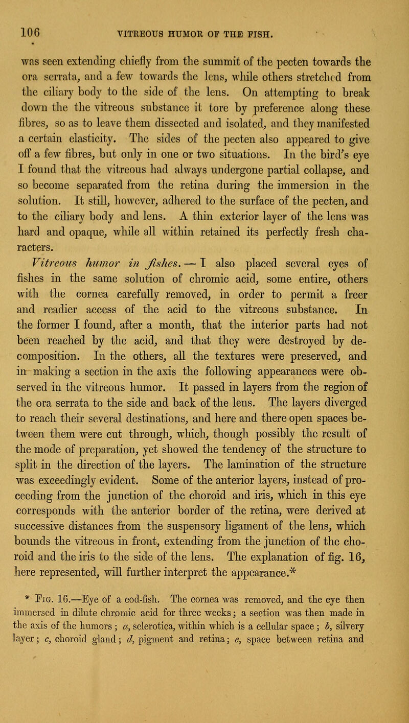 was seen extending chiefly from the summit of the pecten towards the ora serrata, and a few towards the lens, while others stretched from the ciliary body to the side of the lens. On attempting to break down the the vitreous substance it tore by preference along these fibres, so as to leave them dissected and isolated, and they manifested a certain elasticity. The sides of the pecten also appeared to give off a few fibres, but only in one or two situations. In the bird's eye I found that the vitreous had always undergone partial collapse, and so become separated from the retina during the immersion in the solution. It still, however, adhered to the surface of the pecten, and to the ciliary body and lens. A thin exterior layer of the lens was hard and opaque, while all within retained its perfectly fresh cha- racters. Vitreous humor in fishes. — I also placed several eyes of fishes in the same solution of chromic acid, some entire, others with the cornea carefully removed, in order to permit a freer and readier access of the acid to the vitreous substance. In the former I found, after a month, that the interior parts had not been reached by the acid, and that they were destroyed by de- composition. In the others, all the textures were preserved, and in making a section in the axis the following appearances were ob- served in the vitreous humor. It passed in layers from the region of the ora serrata to the side and back of the lens. The layers diverged to reach their several destinations, and here and there open spaces be- tween them were cut through, which, though possibly the result of the mode of preparation, yet showed the tendency of the structure to split in the direction of the layers. The lamination of the structure was exceedingly evident. Some of the anterior layers, instead of pro- ceeding from the junction of the choroid and iris, which in this eye corresponds with the anterior border of the retina, were derived at successive distances from the suspensory ligament of the lens, which bounds the vitreous in front, extending from the junction of the cho- roid and the iris to the side of the lens. The explanation of fig. 16, here represented, will further interpret the appearance.* * Tig. 16.—Eye of a cod-fish. The cornea was removed, and the eye then immersed in dilute chromic acid for three weeks; a section was then made in the axis of the humors; a, sclerotica, within which is a cellular space; b, silvery layer; c, choroid gland; d, pigment and retina; e, space between retina and