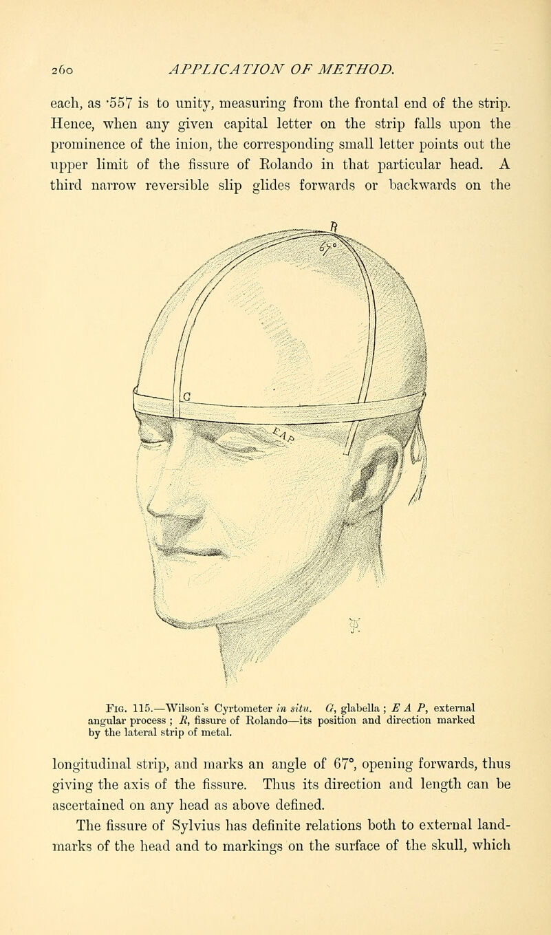 each, as '557 is to unity, measuring from the frontal end of the strip. Hence, when any given capital letter on the strip falls upon the prominence of the inion, the corresponding small letter points out the upper limit of the fissure of Eolando in that particular head. A third narrow reversible slip glides forwards or backwards on the i Fig. 115.—Wilson's Cyrtometer in situ. G, glabella ; E A P, external angular process ; R, fissure of Rolando—its position and direction marked by the lateral strip of metal. longitudinal strip, and marks an angle of 67°, opening forwards, thus giving the axis of the fissure. Thus its direction and length can be ascertained on any head as above defined. The fissure of Sylvius has definite relations both to external land- marks of the head and to markings on the surface of the skull, which