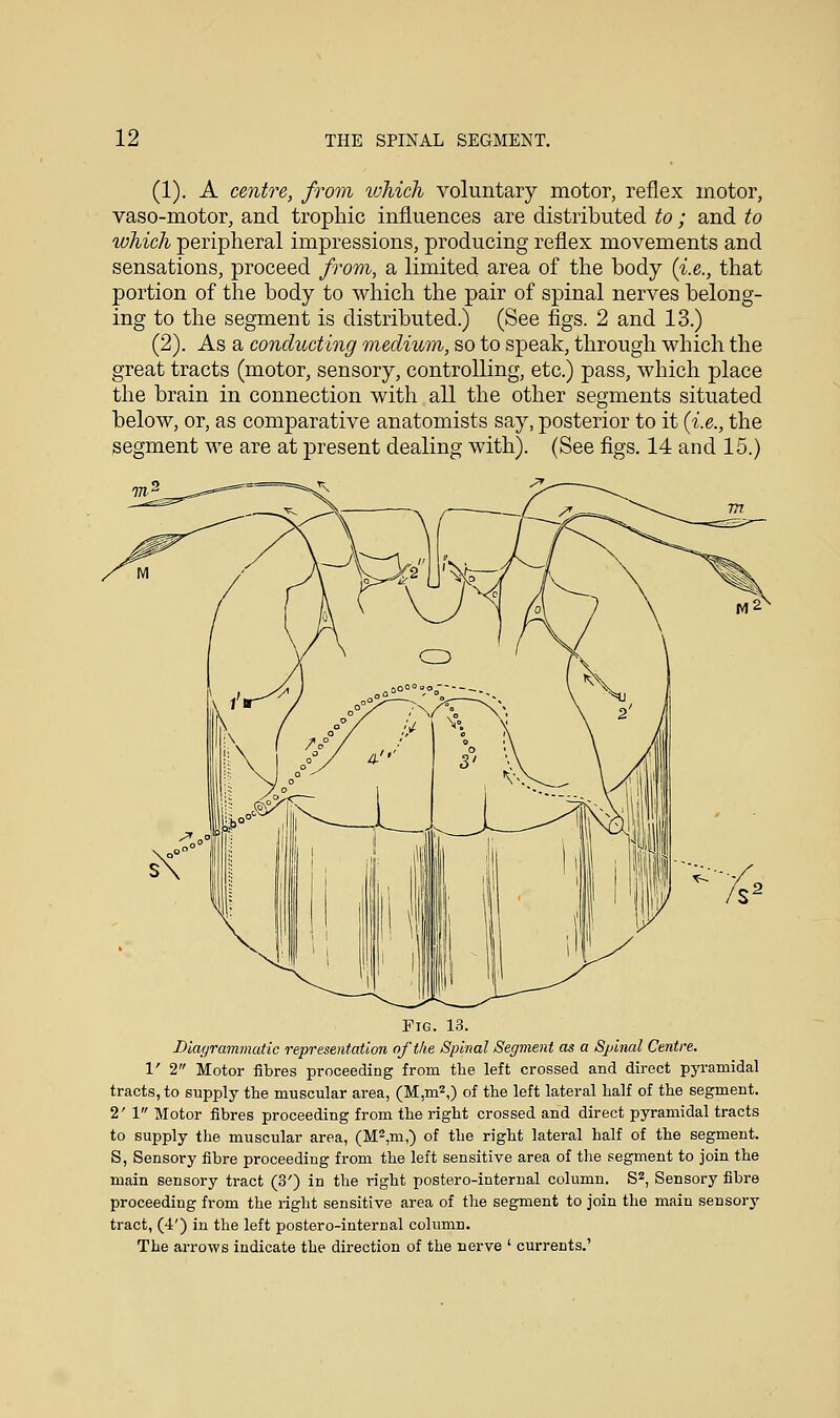 (1). A centre, from ivhich voluntary motor, reflex motor, vaso-motor, and trophic influences are distributed to; and to which peripheral impressions, producing reflex movements and sensations, proceed from, a limited area of the body (i.e., that portion of the body to which the pair of spinal nerves belong- ing to the segment is distributed.) (See figs. 2 and 13.) (2). As a conducting medium, so to speak, through which the great tracts (motor, sensory, controlling, etc.) pass, which place the brain in connection with all the other segments situated below, or, as comparative anatomists say, posterior to it {i.e., the segment we are at present dealing with). (See figs. 14 and 15.) Pig. 13. Diagrammatic representation of the Spinal Segment as a Sjtlnal Centre. V 2 Motor fibres proceeding from the left crossed and direct pyramidal tracts, to supply the muscular area, (M,m2,) of the left lateral half of the segment. 2' 1 Motor fibres proceeding from the right crossed and direct pyramidal tracts to supply the muscular area, (M2,m,) of the right lateral half of the segment. S, Sensory fibre proceeding from the left sensitive area of the segment to join the main sensory tract (3') in the right postero-internal column. S2, Sensory fibre proceeding from the right sensitive area of the segment to join the main sensory tract, (4') in the left postero-internal column.