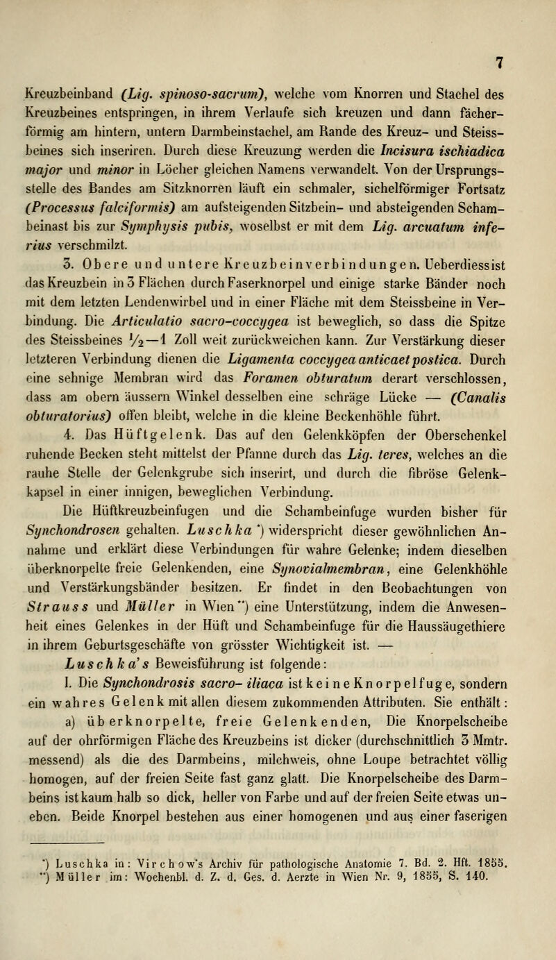 Kreuzbeinband (Lig. spinoso-sacvum), welche vom Knorren und Stachel des Kreuzbeines entspringen, in ihrem Verlaufe sich kreuzen und dann fächer- förmig am hintern, untern Darmbeinstachel, am Rande des Kreuz- und Steiss- beines sich inseriren. Durch diese Kreuzung werden die Incisura ischiadica major und minor in Löcher gleichen Namens verwandelt. Von der Ursprungs- stelle des Bandes am Sitzknorren läuft ein schmaler, sichelförmiger Fortsatz (Processus falclformis) am aufsteigenden Sitzbein- und absteigenden Scham- beinast bis zur Symphysis puhis, woselbst er mit dem Lig. arcuatum infe- rius verschmilzt. 3. Obere und u ntere Kreuzbeinverbi ndungen. Ueberdiessist das Kreuzbein in 5 Flächen durch Faserknorpel und einige starke Bänder noch mit dem letzten Lendenwirbel und in einer Fläche mit dem Steissbeine in Ver- bindung. Die Articulatio sacro-coccygea ist beweglich, so dass die Spitze des Steissbeines '/»—^ Zoll weit zurückweichen kann. Zur Verstärkung dieser letzteren Verbindung dienen die Ligamenta coccygeaanticaetpostica. Durch eine sehnige Membran wird das Foramen ohturatum derart verschlossen, dass am obern äussern Winkel desselben eine schräge Lücke — (Canalis obturaforius) offen bleibt, welche in die kleine Beckenhöhle führt. 4. Das Hüftgelenk. Das auf den Gelenkköpfen der Oberschenkel ruhende Becken steht mittelst der Pfanne durch das Lig. teres, welches an die rauhe Stelle der Gelenkgrube sich inserirt, und durch die fibröse Gelenk- kapsel in einer innigen, beweglichen Verbindung. Die Hüftkreuzbeinfugen und die Schambeinfuge wurden bisher für Synchondrosen gehalten. Luschka *) widerspricht dieser gewöhnlichen An- nahme und erklärt diese Verbindungen für wahre Gelenke; indem dieselben überknorpelte freie Gelenkenden, eine Synovialmembran, eine Gelenkhöhle und Verstärkungsbänder besitzen. Er findet in den Beobachtungen von Strauss und Müller in Wien*') eine Unterstützung, indem die Anwesen- heit eines Gelenkes in der Hüft und Schambeinfuge für die Haussäugethiere in ihrem Geburtsgeschäfte von grösster Wichtigkeit ist. — Luschka's Beweisführung ist folgende: I. Die Synchondrosis sacro- iliaca istkeineKnorpelfuge, sondern ein wahres Gelenk mit allen diesem zukommenden Attributen. Sie enthält: a) überknorpelte, freie Gelenkenden, Die Knorpelscheibe auf der ohrförmigen Fläche des Kreuzbeins ist dicker (durchschnittlich 3 Mmtr. messend) als die des Darmbeins, milchweis, ohne Loupe betrachtet vöUig homogen, auf der freien Seite fast ganz glatt. Die Knorpelscheibe des Darm- beins ist kaum halb so dick, heller von Farbe und auf der freien Seite etwas un- eben. Beide Knorpel bestehen aus einer homogenen und aus einer faserigen ') Luschka in: Virchow's Archiv für pathologische Anatomie 7. Bd. 2. Hft. 185c •*) Müller im: Wochenbl. d. Z. d. Ges. d. Aerzte in Wien Nr. 9, 1855, S. 140.