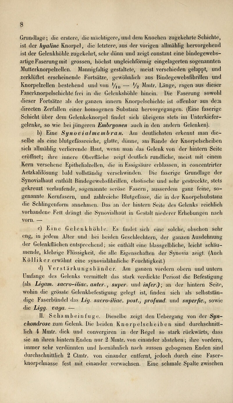 a Grundlage; die erstere, die mächtigere, und dem Knochen zugekehrte Schichte, ist der hyaline Knorpel, die letztere, aus der vorigen allmählig hervorgehend ist der Gelenkhöhle zugekehrt, sehr dünn und zeigt constant eine bindegewebs- artige Faserung mit grossen, höchst ungleichförmig eingelagerten sogenannten Mutterknorpelzellen. Mannigfaltig gestaltete, meist verschieden gelappt, und zerklüftet erscheinende Fortsätze, gewöhnlich aus Bindegewebsfibrillen und Knorpelzellen bestehend und von %„ — ^^ Mmtr. Länge, ragen aus dieser Faserknorpelschichte frei in die Gelenkshöhle hinein. Die Faserung sowohl dieser Fortsätze als der ganzen innern Knorpelschichte ist offenbar aus de.Ti directen Zerfallen einer homogenen Substanz hervorgegangen. (Eine faserige Schicht über dem Gelenkeknorpel findet sich übrigens stets im Unterkiefer- gelenke, so wie bei jüngeren Embryonen auch in den andern Gelenken). b) Eine Synovialmembran. Am deutlichsten erkennt man die- selbe als eine blutgefässreiche, glatte, dünne, am Rande der Knorpelscheiben sich allmählig verlierende Haut, wenn man das Gelenk von der hintern Seite eröffnet; ihre innere Oberfläche zeigt deutlich rundliche, meist mit einem Kern versehene Epithelialzellen, die in Essigsäure erblassen, in concentrirter Aetzkalilösung bald vollständig verschwinden. Die faserige Grundlage der Synovialhaut enthält Bindegewebsfibrillen, elastische und sehr gestreckte, stets gekreuzt verlaufende, sogenannte seröse Fasern, ausserdem ganz feine, so- genannte Kernfasern, und zahlreiche Blutgefässe, die in der Knorpelsubstanz die Schlingenform annehmen. Das an der hintern Seite des Gelenks reichlich vorhandene Fett drängt die Synovialhaut in Gestalt niederer Erhebungen nach vorn. — c) Eine Gelenkhöhle. Es findet sich eine solche, obschon sehr eng, in jedem Alter und bei beiden Geschlechtern, der ganzen Ausdehnung der Gelenkflächen entsprechend; sie enthält eine blassgelbliche, leicht schäu- mende, klebrige Flüssigkeit, die alle Eigenschaften der Synovia zeigt, (Auch K ö 11 i k e r erwähnt eine synovialähnliche Feuchtigkeit.) d) Verstärkungsbänder. Am ganzen vordem obern und untern Umfange des Gelenks vermittelt das stark verdickte Periost die Befestigung (als Ligam. sacro-iliac. anter., super, und infer.); an der hintern Seite, wohin die grösste Gelenkbefestigung gelegt ist, finden sich als selbststän- dige Faserbündel das Lig. sacro-iliac. post., profund, und superßc, sowie die Ligg. vaga. — II. Schambeinfuge. Dieselbe zeigt den Uebergang von der Syn~ chondrose zum Gelenk. Die beiden Knorpelscheiben sind durchschnitt- lich 4 Mmtr. dick und convergiren in der Regel so stark rückwärts, dass sie an ihren hintern Enden nur 2 Mmtr. von einander abstehen; ihre vordem, immer sehr verdünnten und homähnlich nach aussen gebogenen Enden sind durchschnittlich 2 Ctmtr. von einander entfernt, jedoch durch eine Faser- knorpelmasse fest mit einander verwachsen. Eine schmale Spalte zwischen