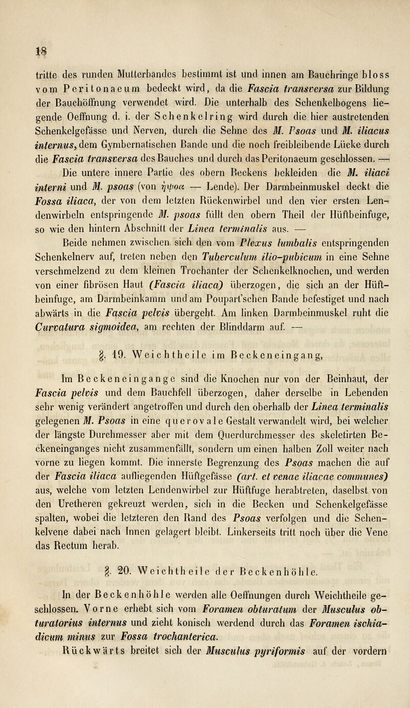 tritte des runden Mutterbandes bestimmt ist und innen am Bauchringe bloss vom Peritonaeum bedeckt wird, da die Fascia transversa zur Bildung der Bauchöffnung verwendet wird. Die unterhalb des Schenkelbogens lie- gende Oeffnung d. i. der Schenkelring wird durch die hier austretenden Schenkelgefässe und Nerven, durch die Sehne des M. Psoas und M. iliacus internus, dem Gymbernatischen Bande und die noch freibleibende Lücke durch die Fascia transversa des Bauches und durch das Peritonaeum geschlossen. — Die untere innere Partie des obern Beckens bekleiden die M. iliaci interni und M. psoas (von ^i/^o« — Lende). Der Darmbeinmuskel deckt die Fossa iliaca, der von dem letzten Bückcnwirbel und den vier ersten Len^ denwirbeln entspringende 31. psoas füllt den obern Theil der Hüftbeinfiige, so wie den hintern Abschnitt der Linea terminalis aus. — Beide nehmen zwischen sich den vom Plexus lumbalis entspringenden Schenkelnerv auf, treten neben den Tubereuhan ilio-pubicum in eine Sehne verschmelzend zu dem kleinen Trochanter der Schenkelknochen, und werden von einer fibrösen Haut (Fascia iliaca) überzogen, die sich an der Hüft- beinfuge, am Darmbeinkamm und am Poupart'schen Bande befestiget und nach abwärts in die Fascia pelvis übergeht. Am linken Darmbeinmuskel ruht die Curvatura sigmoidea, am rechten der Blinddarm auf — §. 19. Weichtheile im Beckeneingang, Im Beckenein gange sind die Knochen nur von der Beinhaut, der Fascia pelvis und dem Bauchfell überzogen, daher derselbe in Lebenden sehr wenig verändert angetroffen und durch den oberhalb der Linea terminalis gelegenen M. Psoas in eine q u e r o v a 1 e Gestalt verwandelt wird, bei welcher der längste Durchmesser aber mit dem Querdurchmesser des skeletirten Be- ckeneinganges nicht zusammenfällt, sondern um einen halben Zoll weiter nach vorne zu hegen kommt. Die innerste Begrenzung des Psoas machen die auf der Fascia iliaca aufliegenden Hüftgefässe (art. et venae iliacae communes) aus, welche vom letzten Lendenwirbel zur Hüftfuge herabtreten, daselbst von den Uretheren gekreuzt werden, sich in die Becken und Schenkelgefässe spalten, wobei die letzteren den Rand des Psoas verfolgen und die Schen- kelvene dabei nach Innen gelagert bleibt. Linkerseits tritt noch über die Vene das Rectum herab. §. 20. Weichtheile der Beckenhöhle. In der Becken höhle werden alle Oeffnungen durch Weichtheile ge- schlossen. Vorne erhebt sich vom Foramen obturatum der Musculus ob- turatorius internus und zieht konisch werdend durch das Foramen ischia- dicuni minus zur Fossa irochanterica. Rückwärts breitet sich der Musculus pyriformis auf der vordem