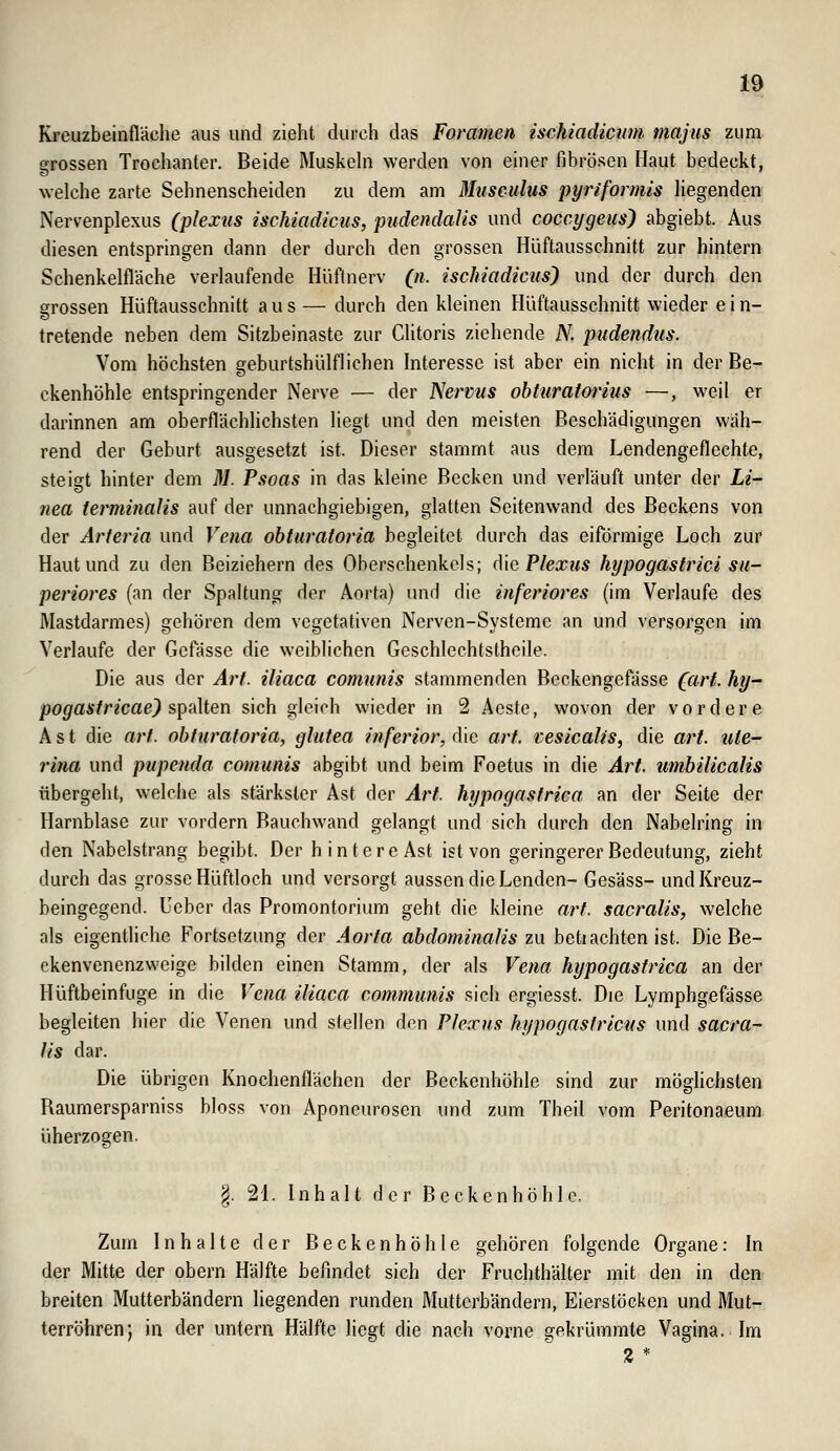 Kreuzbeinfläche aus und zieht durch das Foramen ischiadiciim majiis zum grossen Trochanter. Beide Muskehi werden von einer fibrösen Haut bedeckt, welche zarte Sehnenscheiden zu dem am Musculus pyriformis hegenden Nervenplexus (plexus ischiadicus, piidendalis und coccygeus) abgiebt. Aus diesen entspringen dann der durch den grossen Hüftausschnitt zur hintern Schenkelfläche verlaufende Hüftnerv (n. ischiadicus) und der durch den grossen Hüftausschnitt aus — durch den kleinen Hüftausschnitt wieder e i n- tretende neben dem Sitzbeinaste zur Clitoris ziehende A'^ pudendus. Vom höchsten geburtshülflichen Interesse ist aber ein nicht in der Be- ckenhöhle entspringender Nerve — der Nei'vus ohturaiorius —, weil er darinnen am oberflächlichsten liegt und den meisten Beschädigungen wäh- rend der Geburt ausgesetzt ist. Dieser stammt aus dem Lendengeflechte, steigt hinter dem M. Psoas in das kleine Becken und verläuft unter der Li- nea terminaUs auf der unnachgiebigen, glatten Seitenwand des Beckens von der Arieria und Vena ohturatoria begleitet durch das eiförmige Loch zur Haut und zu den Beiziehern des Oberschenkels; ^\\& Plexus hypogastrici su- periores (an der Spaltung der Aorta) und die inferiores (im Verlaufe des Mastdarmes) gehören dem vegetativen Nerven-Systeme an und versorgen im Verlaufe der Gcfässe die weiblichen Geschlcchtstheile. Die aus der Art. iliaca comunis stammenden Beckengefässe (arf. %- pogastricae) spdiUen sich gleich wieder in 2 Aeste, wovon der vordere Ast die arf. ohturatoria, glutea inferior, die art. cesicalis, die art. ute- rina und pupenda comunis abgibt und beim Foetus in die Art. umbilicalis übergeht, welche als stärkster Ast der Art. hypogastrica an der Seite der Harnblase zur vordem Bauchwand gelangt und sich durch den Nabelring in den Nabelstrang begibt. Der hintere Ast ist von geringerer Bedeutung, zieht durch das grosse Hüftloch und versorgt aussen die Lenden- Gesäss- und Kreuz- beingegend. Ueber das Promontorium geht die kleine art. sacralis, welche als eigentliche Fortsetzung der Aorta abdominalis zu betiachten ist. Die Be- ckenvenenzwcige bilden einen Stamm, der als Vena hypogastrica an der Hüftbeinfuge in die Vena iliaca communis sich ergiesst. Die Lymphgefasse begleiten hier die Venen und stellen den Plexus hypogastricus und sacra- lis dar. Die übrigen Knochenflächen der Beckenhöhle sind zur möghchsten Raumersparniss bloss von Aponeurosen und zum Theil vom Peritonaeum überzogen. §. 21. Inhalt der Beckenhöhl c. Zum Inhalte der Beckenhöhle gehören folgende Organe: In der Mitte der obern Hälfte befindet sich der Fruchthälter mit den in den breiten Mutterbändern liegenden runden Mutterbändern, Eierstöcken und Mut- terröhren; in der untern Hälfte liegt die nach vorne gekrümmte Vagina. Im 2 *