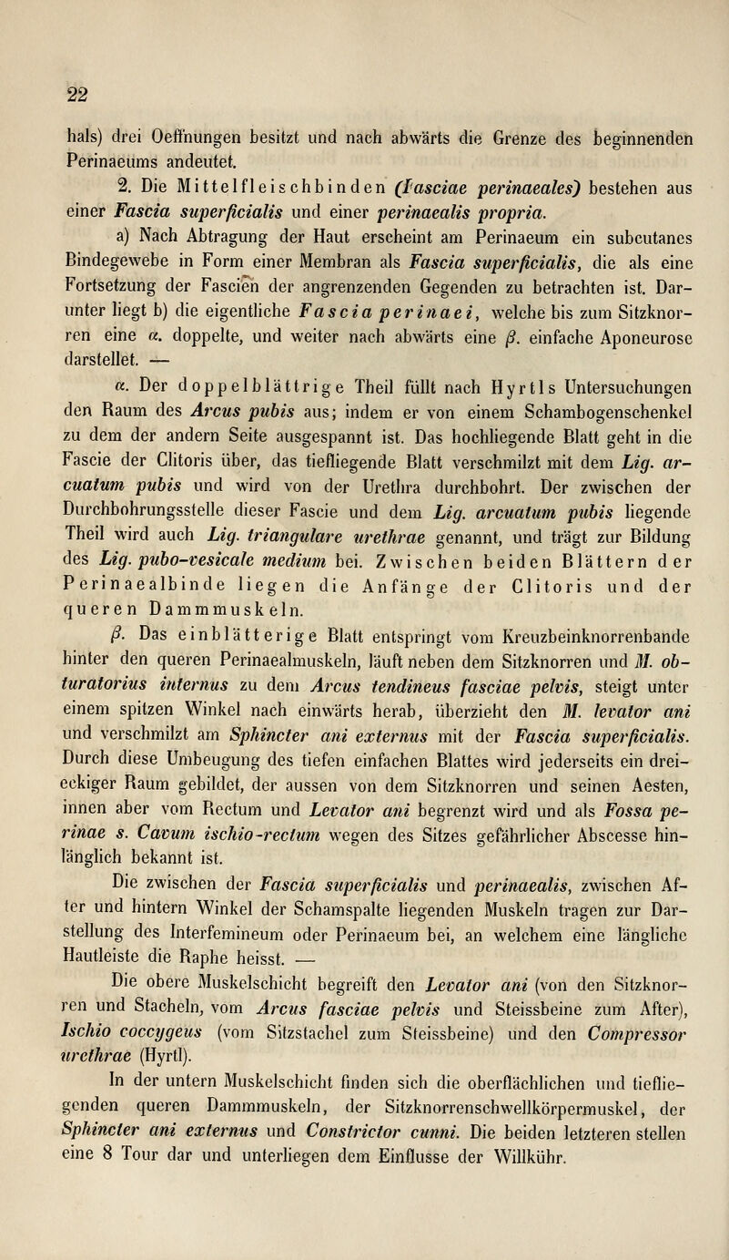 hals) drei Oeffnungen besitzt und nach abwärts die Grenze des beginnenden Perinaeums andeutet. 2. Die Mittelfleischbinden (I<asciae perinaeales) bestehen aus einer Fascia superficialis und einer perinaealis propria. a) Nach Abtragung der Haut erscheint am Perinaeum ein subcutanes Bindegewebe in Form einer Membran als Fascia superficialis, die als eine Fortsetzung der Fascien der angrenzenden Gegenden zu betrachten ist. Dar- unter liegt b) die eigentliche Fascia perinaei, welche bis zum Sitzknor- ren eine «. doppelte, und weiter nach abwärts eine ß. einfache Aponeurose darstellet. — «. Der doppelblättrige Theil füllt nach Hyrtls Untersuchungen den Raum des Arcus pubis aus; indem er von einem Schambogenschenkel zu dem der andern Seite ausgespannt ist. Das hochliegende Blatt geht in die Fascie der Clitoris über, das tiefliegende Blatt verschmilzt mit dem Lig. ar- cuatum pubis und wird von der Urethra durchbohrt. Der zwischen der Durchbohrungsstelle dieser Fascie und dem Lig. arcuatum pubis hegende Theil wird auch Lig. trianguläre urethrae genannt, und trägt zur Bildung des Lig. pubo-vesicale medium bei. Zwischen beiden Blättern der Perinaealbinde liegen die Anfänge der Clitoris und der queren Dammmuskeln. ß. Das einblätterige Blatt entspringt vom Kreuzbeinknorrenbande hinter den queren Perinaealmuskeln, läuft neben dem Sitzknorren und M. ob- turatorius internus zu dem Arcus tendineus fasciae pelvis, steigt unter einem spitzen Winkel nach einwärts herab, überzieht den M. levator ani und verschmilzt am Sphincter ani externus mit der Fascia superficialis. Durch diese Umbeugung des tiefen einfachen Blattes wird jederseits ein drei- eckiger Raum gebildet, der aussen von dem Sitzknorren und seinen Aesten, innen aber vom Rectum und Levator ani begrenzt wird und als Fossa pe- rinae s. Cavum ischio-rectum wegen des Sitzes gefährlicher Abscesse hin- länglich bekannt ist. Die zwischen der Fascia superficialis und perinaealis, zwischen Af- ter und hintern Winkel der Schamspalte liegenden Muskeln tragen zur Dar- stellung des Interfemineum oder Perinaeum bei, an welchem eine längliche Hautleiste die Raphe heisst. — Die obere Muskelschicht begreift den Lemtor ani (von den Sitzknor- ren und Stacheln, vom Arcus fasciae pelvis und Steissbeine zum After), Ischio coccygeus (vom Sitzstachel zum Steissbeine) und den Compressor urethrae (Hyrtl). In der untern Muskelschicht finden sich die oberflächlichen und tieflie- genden queren Dammmuskeln, der Sitzknorrenschwellkörpermuskel, der Sphincter ani externus und Constrictor cunni. Die beiden letzteren stellen eine 8 Tour dar und unterliegen dem Einflüsse der Willkühr.