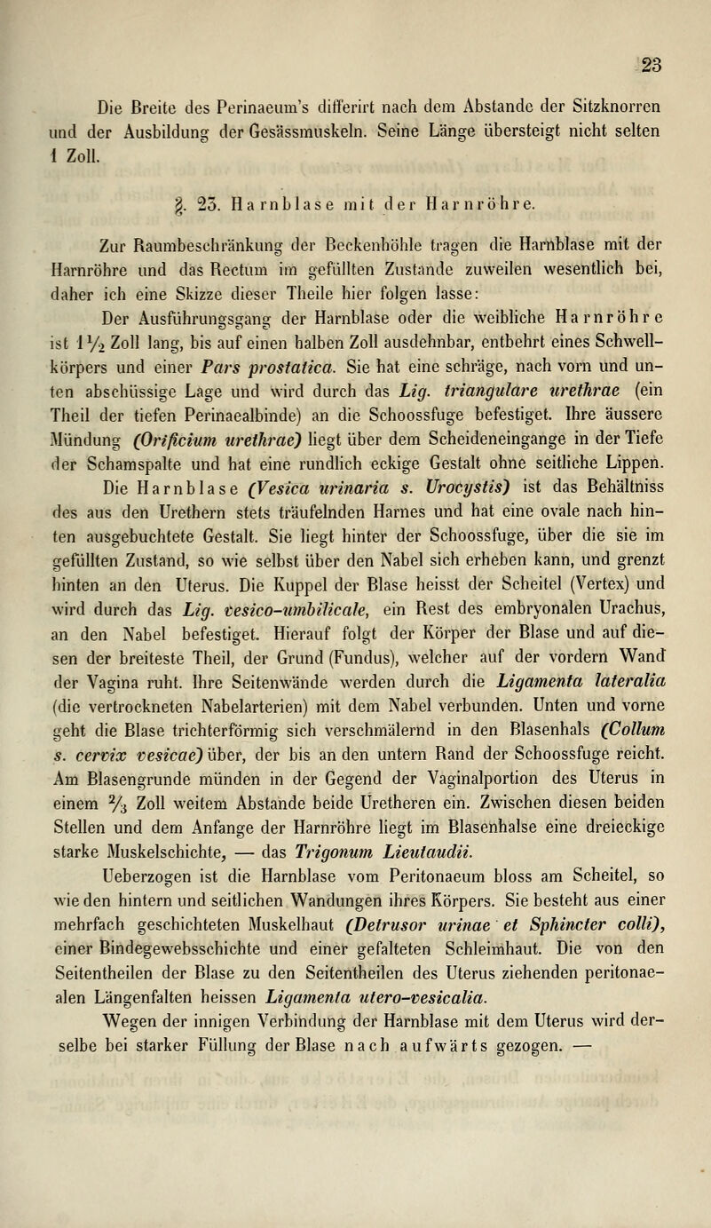 Die Breite des Perinaeum's differirt nach dem Abstände der Sitzknorren und der Ausbildung der Ges'ässmuskeln. Seine Länge übersteigt nicht selten 1 Zoll. §. 25. Harnblase mit der H a r n r ö h r e. Zur Raumbeschränkung der Beckenhöhle tragen die Harnblase mit der Harnröhre und das Rectum im gefüllten Zustande zuweilen wesentlich bei, daher ich eine Skizze dieser Theile hier folgen lasse: Der Ausführunffssrana; der Harnblase oder die weibHche Harnröhre ist IVo Zoll lang, bis auf einen halben Zoll ausdehnbar, entbehrt eines Schwell- körpers und einer Pars prosiaiica. Sie hat eine schräge, nach vom und un- ten abschüssige Lage und wird durch das Lig. trianguläre urethrae (ein Theil der tiefen Perinaealbinde) an die Schoossfuge befestiget. Ihre äussere Mündung (Orißcium urethrae) liegt über dem Scheideneingange in der Tiefe der Schamspalte und hat eine rundHch eckige Gestalt ohne seitHche Lippen. Die Harnblase (Vesica urinaria s. Urocystis) ist das Behältniss des aus den Urethern stets träufelnden Harnes und hat eine ovale nach hin- ten ausgebuchtete Gestalt. Sie liegt hinter der Schoossfuge, über die sie im gefüllten Zustand, so wie selbst über den Nabel sich erheben kann, und grenzt hinten an den Uterus. Die Kuppel der Blase heisst der Scheitel (Vertex) und wird durch das Lig. vesico-umbilicale, ein Rest des embryonalen Urachus, an den Nabel befestiget. Hierauf folgt der Körper der Blase und auf die- sen der breiteste Theil, der Grund (Fundus), welcher auf der vordem Wand der Vagina ruht. Ihre Seitenwände werden durch die Ligamenta lateralia (die vertrockneten Nabelarterien) mit dem Nabel verbunden. Unten und vorne geht die Blase trichterförmig sich verschmälernd in den Blasenhals (Collum s. cervix nesicae) über, der bis an den untern Rand der Schoossfuge reicht. Am Blasengrunde münden in der Gegend der Vaginalportion des Uterus in einem Y^ Zoll weitem Abstände beide Uretheren ein. Zwischen diesen beiden Stellen und dem Anfange der Harnröhre liegt im Blasenhalse eine dreieckige starke Muskelschichte, — das Trigonum Lieutaudii. Ueberzogen ist die Harnblase vom Peritonaeum bloss am Scheitel, so wie den hintern und seitlichen Wandungen ihres Körpers. Sie besteht aus einer mehrfach geschichteten Muskelhaut (Detrusor urinae et Sphincter colli), einer Bindegewebsschichte und einer gefalteten Schleimhaut. Die von den Seitentheilen der Blase zu den Seitentheilen des Uterus ziehenden peritonae- alen Längenfalten heissen Ligamenta utero-vesicalia. Wegen der innigen Verbindung der Harnblase mit dem Uterus wird der- selbe bei starker Füllung der Blase nach aufwärts gezogen. —