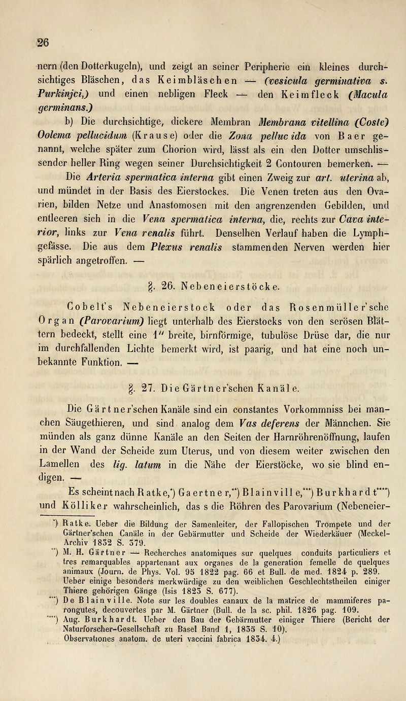 nern (den Dotterkugeln), und zeigt an seiner Peripherie ein kleines durch- sichtiges Bläschen, das Keimbläschen — (vesicula germinativa s. Purkinjci,) und einen nebligen Fleck — den Keim fleck (Macula germinans.) b) Die durchsichtige, dickere Membran Membrana löitellina (Cosle) Oolema pellucidiim (Krause) oder die Zona pel/uc ida von B a e r ge- nannt, welche später zum Chorion wird, lässt als ein den Dotter umschHs- sender heller Ring wegen seiner Durchsichtigkeit 2 Contouren bemerken. — Die Arteria spermatica interna gibt einen Zweig zur arl. uterina ab, und mündet in der Basis des Eierstockes. Die Venen treten aus den Ova- rien, bilden Netze und Anastomosen mit den angrenzenden Gebilden, und entleeren sich in die Vena spermatica interna, die, rechts zur Cava infe- rior, links zur Vena renalis führt. Denselben Verlauf haben die Lymph- gefässe. Die aus dem Plexus renalis stammenden Nerven werden hier spärlich angetroffen. — §. 26. Nebeneierstöcke. Cobelt's Nebeneierstock oder das Ro s enmülle r'sche Organ (Parovarium) liegt unterhalb des Eierstocks von den serösen Blät- tern bedeckt, stellt eine 1 breite, birnförmige, tubulöse Drüse dar, die nur im durchfallenden Lichte bemerkt wird, ist paarig, und hat eine noch un- bekannte Funktion. — §. 27. Die Gärtner'schen Kanal e. Die Gärt ner'schen Kanäle sind ein oonstantes Vorkommniss bei man- chen Säugethieren, und sind analog dem Vas deferens der Männchen. Sie münden als ganz dünne Kanäle an den Seiten der Harnröhrenöffnung, laufen in der Wand der Scheide zum Uterus, und von diesem weiter zwischen den Lamellen des Hg. latum in die Nähe der Eierstöcke, wo sie blind en- digen. — Es scheint nach Ratke,*) Ga ertne r,**) Blainvill e,*) Bur khar d t) und Kölliker wahrscheinlich, das s die Röhren des Parovarium (Nebeneier- *) Ratke. lieber die Bildung der Samenleiter, der Fallopischen Trompete und der Gärtner'schen Canäle in der Gebärmutter und Scheide der Wiederkäuer (Meckel- Archiv 1832 S. 379. ) M. H. Gärtner — Recherches anatomiques sur quelques conduits particuliers et tres remarquables appartenant aux organes de la generation femelle de quelques animaux (Journ. de Phys. Vol. 95 1822 pag. 66 et Bull, de med. 1824 p. 289. Ueber einige besonders merkwürdige zu den weiblichen Geschlechtstheilen einiger Thiere gehörigen Gänge (Isis 1825 S. 677). *) De Blainville. Note sur les doubles canaux de la matrice de mammiferes pa- rongutes, decouvertes par M. Gärtner (Bull, de la sc. phil. 1826 pag. 109. **) Aug. Burkhardt. Ueber den Bau der Gebärmutter einiger Thiere (Bericht der Naturforscher-Gesellschaft zu Basel Band 1, 1835 S. 10). Observationes anatom. de uteri vaccini fabrica 1834. 4.)