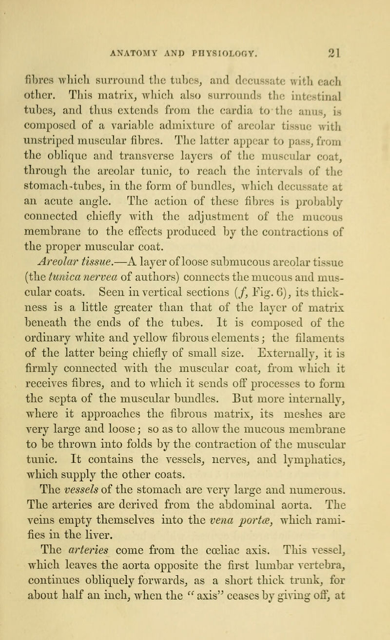 fibres which surround the tubes, and di with each other. This matrix, which also surrounds the intestinal tubes, and thus extends from the eardia to tlie anus, i- composed of a variable admixture of areolar tissue with unstriped muscular fibres. The latter appear to pa >m the oblique and transverse layers of the muscular coat, through the areolar tunic, to reach the intervals of the stomach-tubes, in the form of bundles, which decussate at an acute angle. The action of these fibres is probably connected chiefly with the adjustment of the mucous membrane to the effects produced by the contractions of the proper muscular coat. Areolar tissue.—A layer of loose submucous areolar tissue (the tunica nervea of authors) connects the mucous and mus- cular coats. Seen in vertical sections (/, Fig. 6), its thick- ness is a little greater than that of the layer of matrix beneath the ends of the tubes. It is composed of the ordinary white and yellow fibrous elements; the filaments of the latter being chiefly of small size. Externally, it is firmly connected with the muscular coat, from which it receives fibres, and to which it sends off processes to form the septa of the muscular bundles. But more internally, where it approaches the fibrous matrix, its meshes are very large and loose; so as to allow the mucous membrane to be thrown into folds by the contraction of the muscular tunic. It contains the vessels, nerves, and lymphatics, which supply the other coats. The vessels of the stomach are very large and numerous. The arteries are derived from the abdominal aorta. The veins empty themselves into the vena porta, which rami- fies in the liver. The arteries come from the ceeliac axis. This vessel, which leaves the aorta opposite the first lumbar vertebra, continues obliquely forwards, as a short thick trunk, for about half an inch, when the  axis ceases by giving off, at