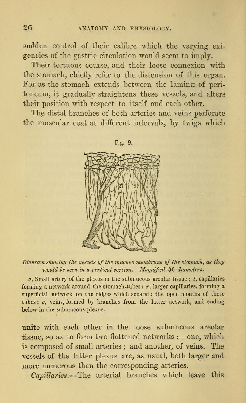 sudden control of their calibre which the varying exi- gencies of the gastric circulation would seem to imply. Their tortuous course, and their loose connexion with the stomach, chiefly refer to the distension of this organ. For as the stomach extends between the laminae of peri- toneum, it gradually straightens these vessels, and alters their position with respect to itself and each other. The distal branches of both arteries and veins perforate the muscular coat at different intervals, by twigs which Fig. 9. Diagram showing the vessels of the mucous membrane of the stomach, as they would be seen in a vertical section. Magnified 30 diameters. a, Small artery of the plexus in the submucous areolar tissue ; t, capillaries forming a network around the stomach-tubes; r, larger capillaries, forming a superficial network on the ridges which separate the open mouths of these tubes ; v, veins, formed by branches from the latter network, and ending below in the submucous plexus. unite with each other in the loose submucous areolar tissue, so as to form two flattened networks :—one, which is composed of small arteries; and another, of veins. The vessels of the latter plexus are, as usual, both larger and more numerous than the corresponding arteries. Capillaries.—The arterial branches which leave this