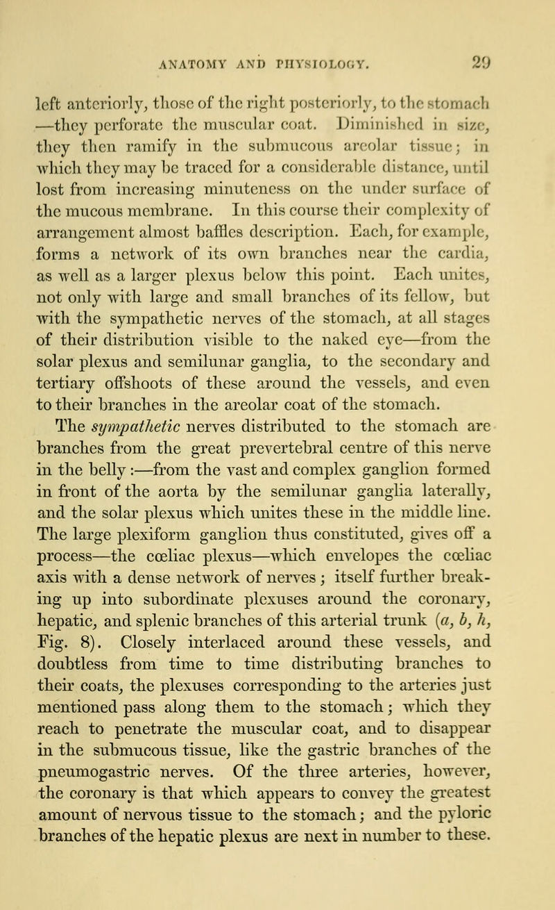 left anteriorly, those of the right posteriorly, to the Btomach —they perforate the muscular coat. Diminished in size, they then ramify in the submucous areolar tissue; in which they may be traced for a considerable distance, until lost from increasing minuteness on the under surface of the mucous membrane. In this course their complexity of arrangement almost baffles description. Each, for example, forms a network of its own branches near the cardia, as well as a larger plexus below this point. Each unite not only with large and small branches of its fellow, but with the sympathetic nerves of the stomach, at all stages of their distribution visible to the naked eye—from the solar plexus and semilunar ganglia, to the secondary and tertiary offshoots of these around the vessels, and even to their branches in the areolar coat of the stomach. The sympathetic nerves distributed to the stomach are branches from the great prevertebral centre of this nerve in the belly:—from the vast and complex ganglion formed in front of the aorta by the semilunar ganglia laterally, and the solar plexus which unites these in the middle line. The large plexiform ganglion thus constituted, gives off a process—the cceliac plexus—which envelopes the cceliac axis with a dense network of nerves; itself further break- ing up into subordinate plexuses around the coronary, hepatic, and splenic branches of this arterial trunk {a, b, h, Fig. 8). Closely interlaced around these vessels, and doubtless from time to time distributing branches to their coats, the plexuses corresponding to the arteries just mentioned pass along them to the stomach; which they reach to penetrate the muscular coat, and to disappear in the submucous tissue, like the gastric branches of the pneumogastric nerves. Of the three arteries, however, the coronary is that which appears to convey the greatest amount of nervous tissue to the stomach; and the pyloric branches of the hepatic plexus are next in number to these.
