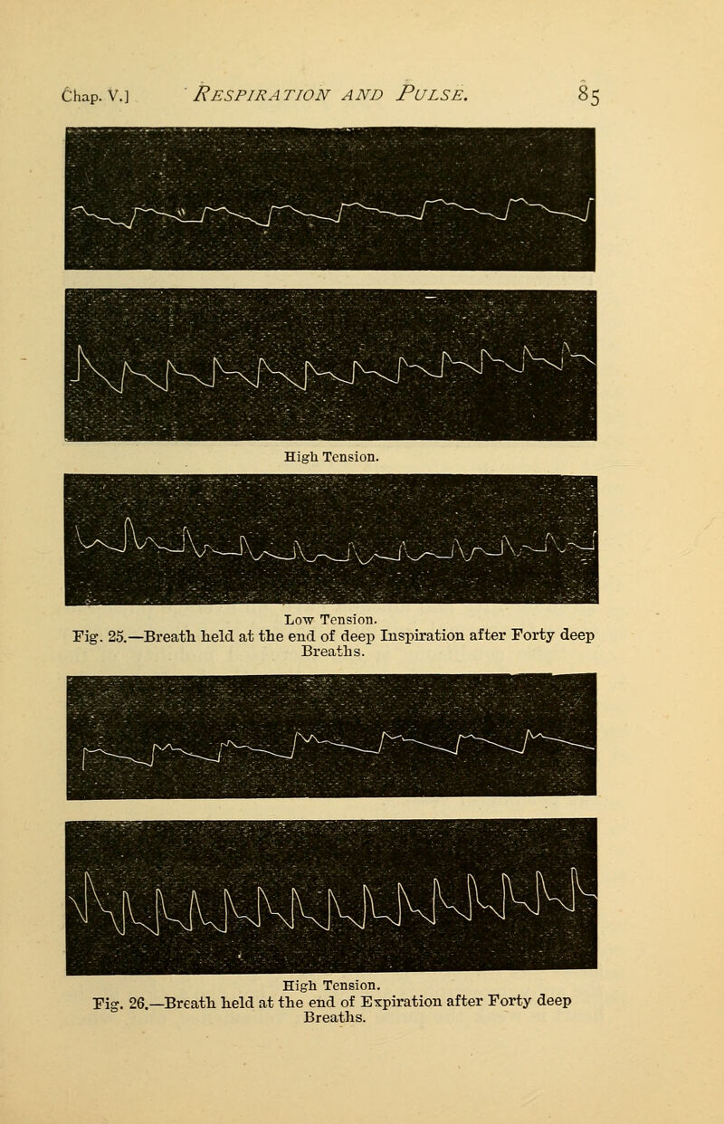 Low Tension. Fig. 25.—Breatli held at the end of deep Inspiration after Forty deep Breaths. Higli Tension. Fig. 26.—Breath held at the end of Expiration after Forty deep Breaths.