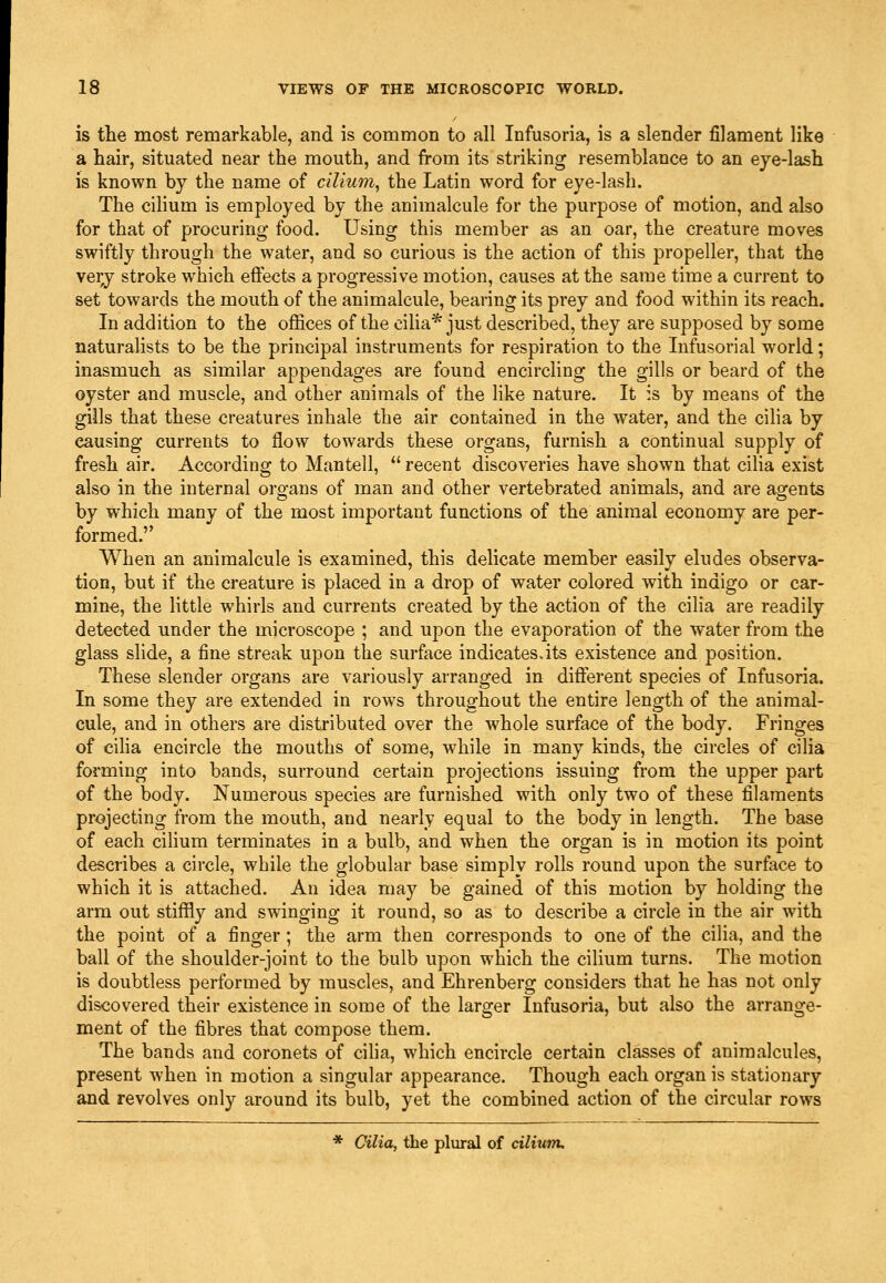 is the most remarkable, and is common to all Infusoria, is a slender filament like a hair, situated near the mouth, and from its striking resemblance to an eye-lash is known by the name of cilium, the Latin word for eye-lash. The cilium is employed by the animalcule for the purpose of motion, and also for that of procuring food. Using this member as an oar, the creature moves swiftly through the water, and so curious is the action of this propeller, that the very stroke which effects a progressive motion, causes at the same time a current to set towards the mouth of the animalcule, bearing its prey and food within its reach. In addition to the offices of the cilia* just described, they are supposed by some naturalists to be the principal instruments for respiration to the Infusorial world; inasmuch as similar appendages are found encirchng the gills or beard of the oyster and muscle, and other animals of the like nature. It is by means of the gills that these creatures inhale the air contained in the water, and the cilia by causing currents to flow towards these organs, furnish a continual supply of fresh air. According to Mantell,  recent discoveries have shown that cilia exist also in the internal organs of man and other vertebrated animals, and are agents by which many of the most important functions of the animal economy are per- formed. When an animalcule is examined, this delicate member easily eludes observa- tion, but if the creature is placed in a drop of water colored with indigo or car- mine, the little whirls and currents created by the action of the cilia are readily detected under the microscope ; and upon the evaporation of the water from the glass slide, a fine streak upon the surface indicatesats existence and position. These slender organs are variously arranged in different species of Infusoria. In some they are extended in rows throughout the entire length of the animal- cule, and in others are distributed over the whole surface of the body. Fringes of ciha encircle the mouths of some, while in many kinds, the circles of cilia forming into bands, surround certain projections issuing from the upper part of the body. Numerous species are furnished with only two of these filaments projecting from the mouth, and nearly equal to the body in length. The base of each cilium terminates in a bulb, and when the organ is in motion its point describes a circle, while the globular base simply rolls round upon the surface to which it is attached. An idea may be gained of this motion by holding the arm out stiffly and swinging it round, so as to describe a circle in the air with the point of a finger; the arm then corresponds to one of the cilia, and the ball of the shoulder-joint to the bulb upon which the cilium turns. The motion is doubtless performed by muscles, and Ehrenberg considers that he has not only discovered their existence in some of the larger Infusoria, but also the arrange- ment of the fibres that compose them. The bands and coronets of ciha, which encircle certain classes of animalcules, present when in motion a singular appearance. Though each organ is stationary and revolves only around its bulb, yet the combined action of the circular rows * Cilia, the plural of cilium.