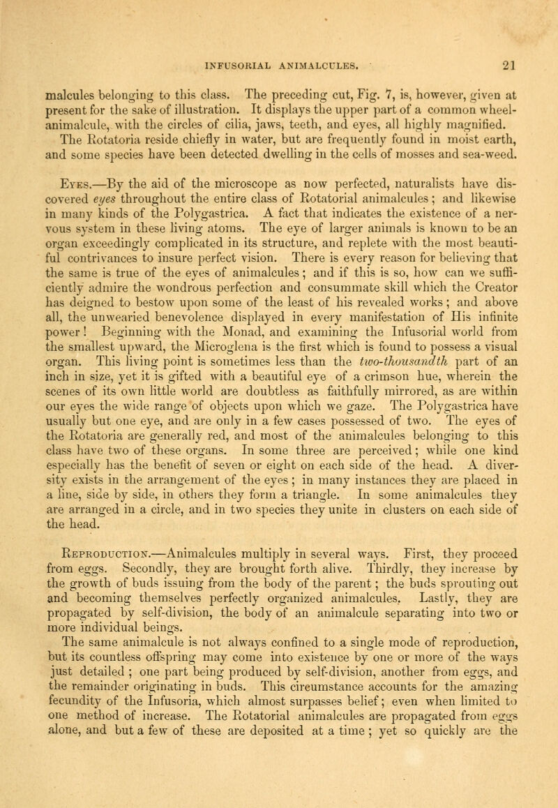 malcules belonging to this class. The preceding cut, Fig. 7, is, however, given at present for the sake of illustration. It displays the upper part of a common wheel- animalcule,, with the circles of cilia, jaws, teeth, and eyes, all highly magnified. The Rotatoria reside chiefly in water, but are frequently found in moist earth, and some species have been detected dwelling in the cells of mosses and sea-weed. Eyes.—By the aid of the microscope as now perfected, naturalists have dis- covered eyes throughout the entire class of Rotatorial animalcules; and likewise in many kinds of the Polygastrica. A fact that indicates the existence of a ner- vous system in these living atoms. The eye of larger animals is known to be an organ exceedingly complicated in its structure, and replete with the most beauti- ful contrivances to insure perfect vision. There is every reason for believing that the same is true of the eyes of animalcules; and if this is so, how can we suffi- ciently admire the wondrous perfection and consummate skill which the Creator has deigned to bestow upon some of the least of his revealed works; and above all, the unwearied benevolence displayed in every manifestation of His infinite power! Beginning with the Monad, and examining the Infusorial world from the smallest upward, the Microglena is the first which is found to possess a visual organ. This living point is sometimes less than the two-thousandth part of an inch in size, yet it is gifted with a beautiful eye of a crimson hue, wherein the scenes of its own Httle world are doubtless as faithfully mirrored, as are within our eyes the wide range of objects upon which we gaze. The Polygastrica have usually but one eye, and are only in a few cases possessed of two. The eyes of the Rotatoria are generally red, and most of the animalcules belonging to this class have two of these organs. In some three are perceived; while one kind especially has the benefit of seyen or eight on each side of the head. A diver- sity exists in the arrangement of the eyes ; in many instances they are placed in a line, side by side, in others they form a triangle. In some animalcules they are arranged in a circle, and in two species they unite in clusters on each side of the head. Reproduction.—Animalcules multiply in several ways. First, they proceed from eggs. Secondly, they are brought forth ahve. Thirdly, they increase by the growth of buds issuing from the body of the parent; the buds sprouting out and becoming themselves perfectly organized animalcules, Lastly, they are propagated by self-division, the body of an animalcule separating into two or more individual beings. The same animalcule is not always confined to a single mode of reproduction, but its countless ofifspring may come into existence by one or more of the ways just detailed ; one part being produced by self-division, another from eggs, and the remainder originating in buds. This circumstance accounts for the amazing fecundity of the Infusoria, which almost surpasses belief; even when hmited to one method of increase. The Rotatorial animalcules are propagated from eggs alone, and but a few of these are deposited at a time ; yet so quickly are the
