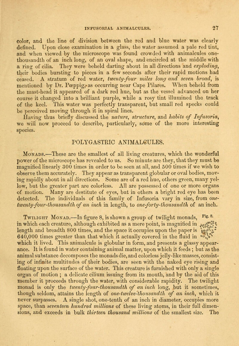 color, and the line of division between the red and blue water was clearly defined. Upon close examination in a glass, the water assumed a pale red tint, and when viewed by the microscope was found crowded with animalcules one- thousandth of an inch long, of an oval shape, and encircled at the middle with a ring of ciha. They were beheld darting about in all directions and exploding^ their bodies bursting to pieces in a few seconds after their rapid motions had ceased. A stratum of red water, twenty-four miles long and seven broad, is mentioned by Dr. Poeppig,-as occurring near Cape Pilares. When beheld from the mast-head it appeared of a dark red hue, but as the vessel advanced on her course it changed into a brilhant purple, while a rosy tint illumined the track of the keel. This water was perfectly transparent, but small red specks could be perceived moving through it in spiral lines. Having thus briefly discussed the nature, structure, and habits of Infusoria^ we will now proceed to describe, particularly, some of the more interesting species. POLYGASTRIC ANIMALCULES. Monads.—These are the smallest of all Kving creatures, which the wonderful power of the microscope has revealed to us. So minute are they, that they must be magnified linearly 300 times in order to be seen at all, and 500 times if we wish to observe them accurately. They appear as transparent globular or oval bodies, mov- ing rapidly about in all directions. Some are of a red hue, others green, many yel- low, but the greater part are colorless. All are possessed of one or more organs of motion. Many are destitute of eyes, but in others a bright red eye has been detected. The individuals of this family of Infusoria vary in size, from one- twenty-four-thousandth of an inch in length, to one-forty-thousandth of an inch. Twilight Monad.—In figure 8, is shown a group of twihght monads, ^s- 8- in which each creature, although exhibited as a mere point, is magnified in ,^o«^;^'?^ length and breadth 800 times, and the space it occupies upon the paper is W'^''^^,'' 640,000 times greater than that which it actually covered in the fluid in '^y'' which it lived. This animalcule is globular in form, and presents a glassy appear- ance. It is found in water containing animal matter, upon which it feeds ; but as the animal substance decomposes the monads die, and colorless jelly-hke masses, consist- ing of infinite multitudes of their bodies, are seen with the naked eye rising and floating upon the surface of the water. This creature is furnished with only a single organ of motion ; a delicate cihum issuing from its mouth, and by the aid of this member it proceeds through the water, with considerable rapidity. The twilight monad is only the tiuenty-four-thousandth of an inch long, but it sometimes,, though seldom, attains the length of one-twelve-thousandth of an inch, which it never surpasses. A single shot, one-tenth of an inch in diameter, occupies more space, than seventeen hund.red millions of these living atoms, in their full dimen- sions, and exceeds in bulk thirteen thousand millions of the smallest size. The