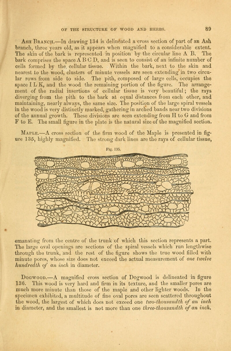 Ash Branch.—In drawing 134 is delineated a cross section of part of aw Ash branch, three years old, as it appears when magnified to a considerable extent. The skin of the bark is represented in position by the circular line A B. The bark comprises the space A B C D, and is seen to consist of an infinite number of cells formed by the cellular tissue. Within the bark, next to the skin and nearest to the wood, clusters of minute vessels are seen extending' in two circu- lar rows from side to side. The pith, composed of large cells, occupies the space I L K, and the wood the remaining portion of the figure. The arrange- ment of the radial insertions of cellular tissue is very beautiful; the rays diverging from the pith to the bark at equal distances from each other, and maintaining, nearly always, the same size. The position of the large spiral vessels in the wood is very distinctly marked, gathering in arched bands near two divisions of the annual growth. These divisions are seen extending from H to G and from F to E. The small figure in the plate is the natural size of the magnified section. Maple.—A cross section of the firm wood of the Maple is presented in fig- ure 135, highly magnified. The strong dark hnes are the rays of cellular tissue, emanating from the centre of the trunk of which this section represents a part. The large o,val openings are sections of the spiral vessels which run lengthwise through the trunk, and the rest of the figure shows the true wood filled with minute pores, whose size does not exceed the actual measurement of one twelve hundredth of an inch in diameter. Dogwood.—A magnified cross section of Dogwood is delineated in figure 136. This wood is very hard and firm in its texture, and the smaller pores are much more minute than those of the maple and other hghter woods. In the specimen exhibited, a multitude of fine oval pores are seen scattered throughout the wood, the largest of which does not exceed one two-thousandth of an inch in diameter, and the smallest is not more than one three-thousandth of an inch.