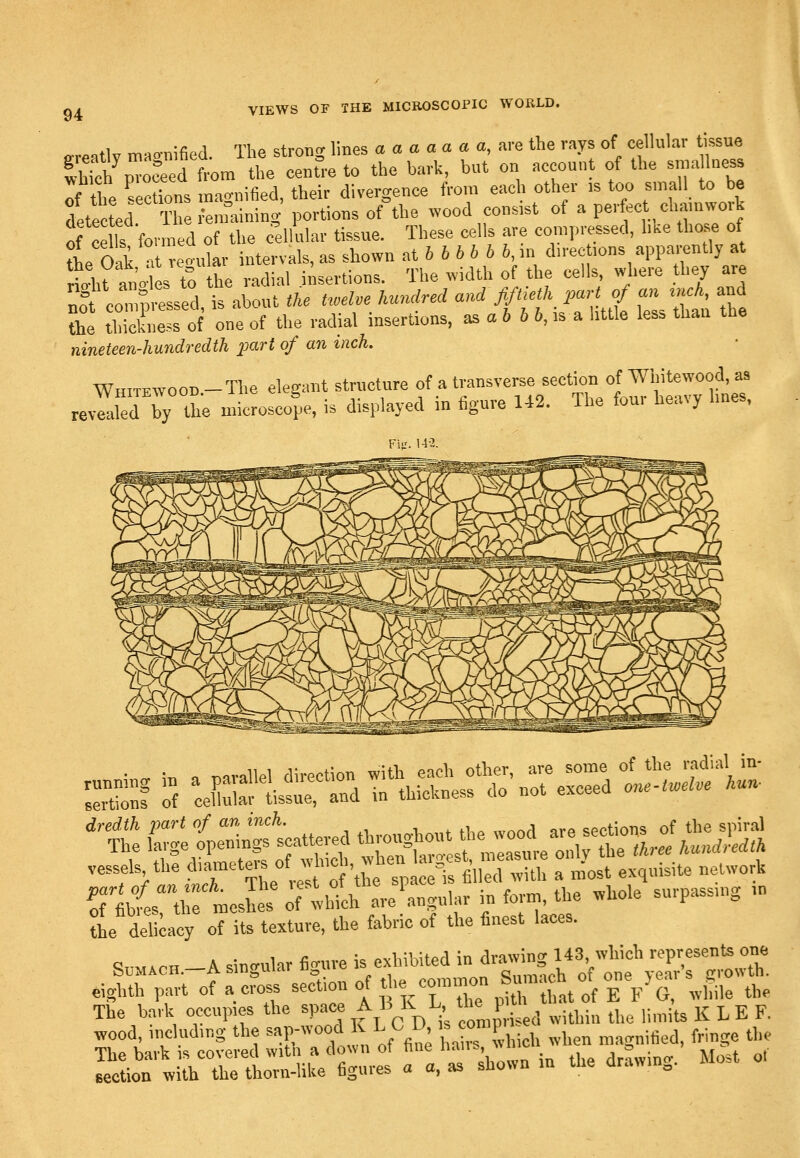 fV ™..onifip(l The stronc lines aaaaaaa, .ire the rays of cellular tissue Sh%^1 edtm the c:nt^-e to the bark, but on account of the snialuess of the ^ecdons m.-vgnified, their divergence from each other is too small to be detected The renraining portions of the wood consist of a perfect chamwork of ce Is formed of the clllular tissue. These cells are compressed, h^e those of ?he Oak nt veoular intervals,as shown ^tbbbbbb,m direc ions apparently at the Uak, •' '«- ?^' . , i;3^,,tio„s. The width of the cells, where they are nf comi ess d t ab ,  / ^l.e hundred and fifl-i^^ P-^t «/ f» -f^ ^^ the tSess of one of the radial insertions, as a6 6 6,is a little less than the nineteen-hundredth part of an inch. Whitewood -The elemmt structure of a transverse section of Whitewood, as revrafedTy the microsco^pe, is displayed in figure 142. The four heavy lines, Fij.'. 14-2. = rx;:ri,r= r.si:^:^r r-rr:^^^^^^^^^^^^ vessels the d>7«'^\;f,;„tthe spacers filled with a most exquisite network 7l:Ly:t2l: rtll'te'angmar in form, ^e whole surpassing m Sie delicacy of its texture, the fabric of the finest laces. S.M.CH.-A singular figure is exhibited ' ^™cl'of^t^/oTi^r^t^ eighth part of across -ction of the c.ninon Sum ch of^one^yo^ J^^ ^^^^ The bark occupies the ^P^^^f ^^^ ^ ^; ^7„, ^ i,ed within the limits K LE F. wood, including the ^«P-«-°f ^^, ^5=.^ ,tr  wd ich when magnified, fringe the ^:^:^'ri::Xf^^^lX:^^o..^ thedrawmg. Mo. of