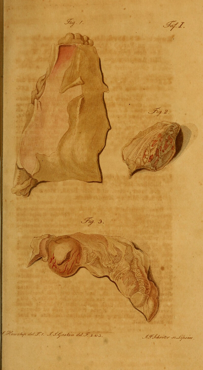 .^I. A i> . yv^f 2 A ^.^riu-aAy.^^/.jTr ^^^^^,;, MJ^zt^a. V . '/jFJ^yiy.^/^^' .i.:._/J/,jw,'