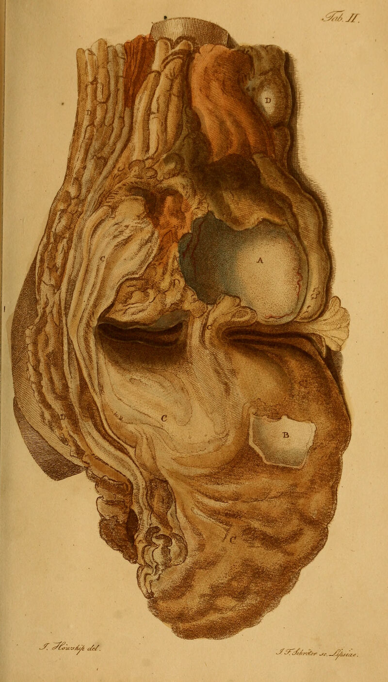 .-Ä^ iV. i^L^2C-:y4^ c^e/. ^^M,-^»'. •._^: ^r, —£.c/i^£a.£.