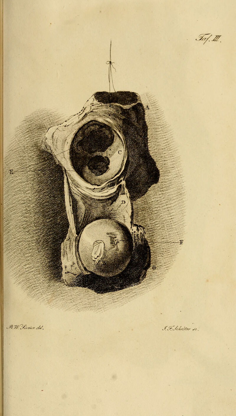 -t J^.'M^^i-z'^^ M. ^f^'^M^^,^.