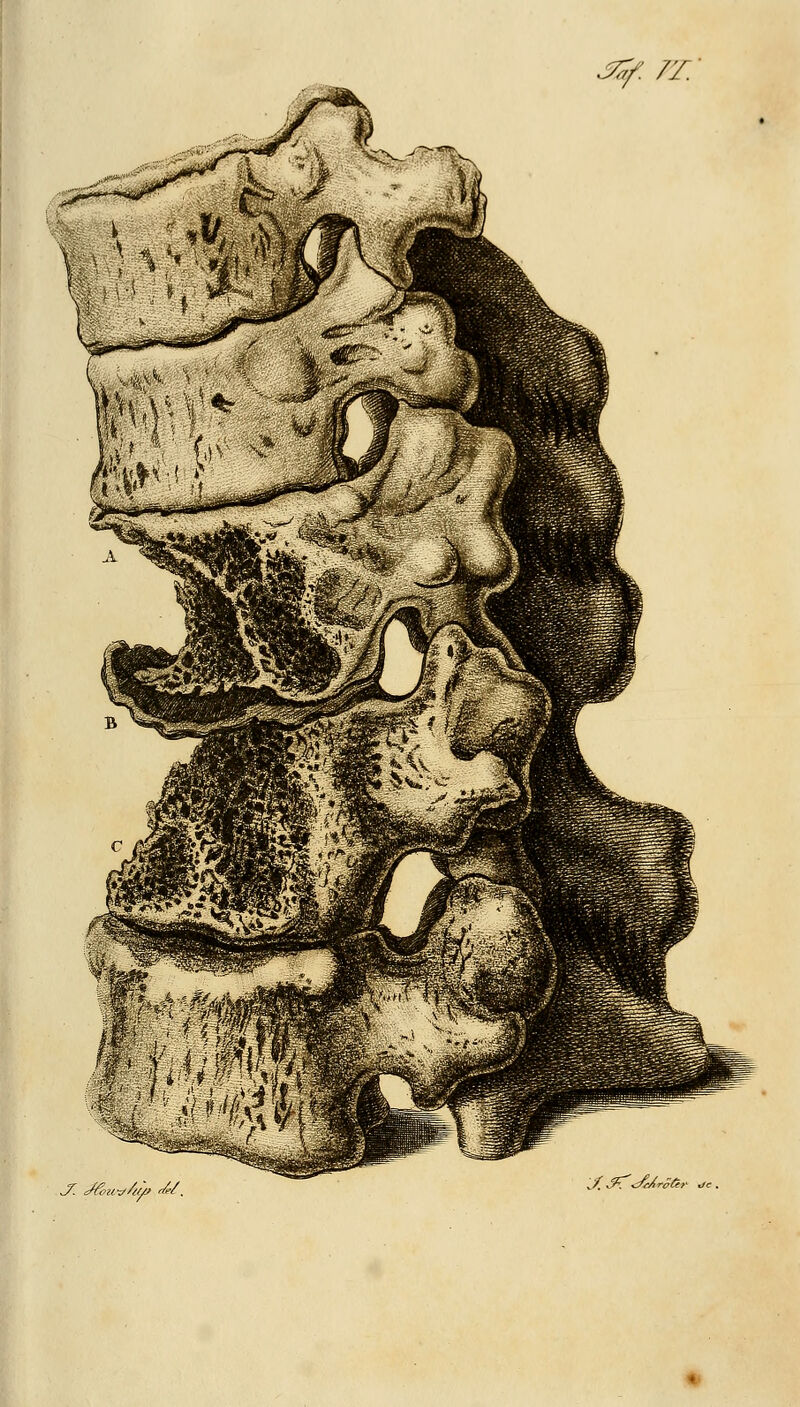 s^. /z jr £^u-a/M> «^/. /. -^</c^rö(ir ,/<: .