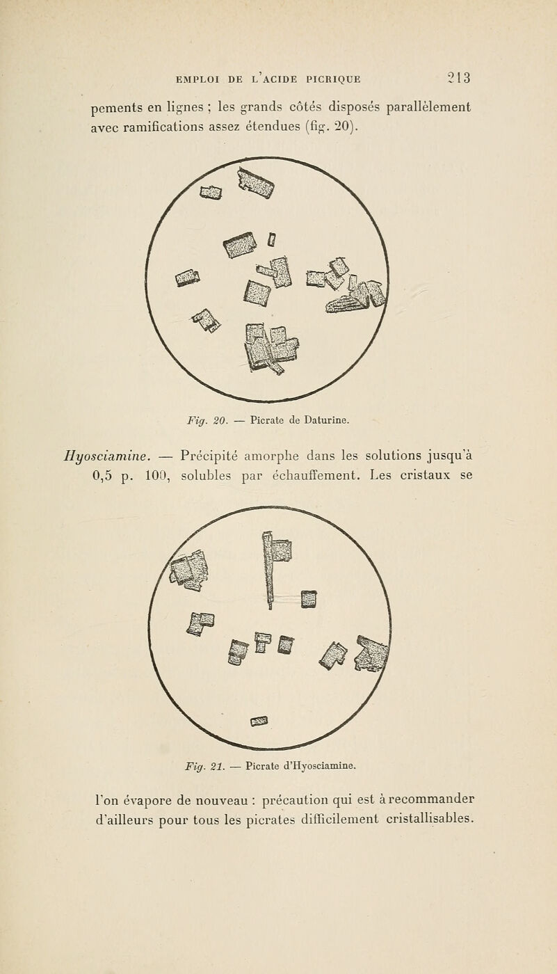 pements en lignes ; les grands côtés disposés parallèlement avec ramifications assez étendues (fig. 20). Fig. 20. — Picrate de Daturine. Hyosciamine. — Précipité amorphe dans les solutions jusqu'à 0,5 p. 100, solubles par échauffement. Les cristaux se Fig. 21. — Picrate d'Hyosciamine. l'on évapore de nouveau : précaution qui est à recommander d'ailleurs pour tous les picrates difficilement cristallisables.
