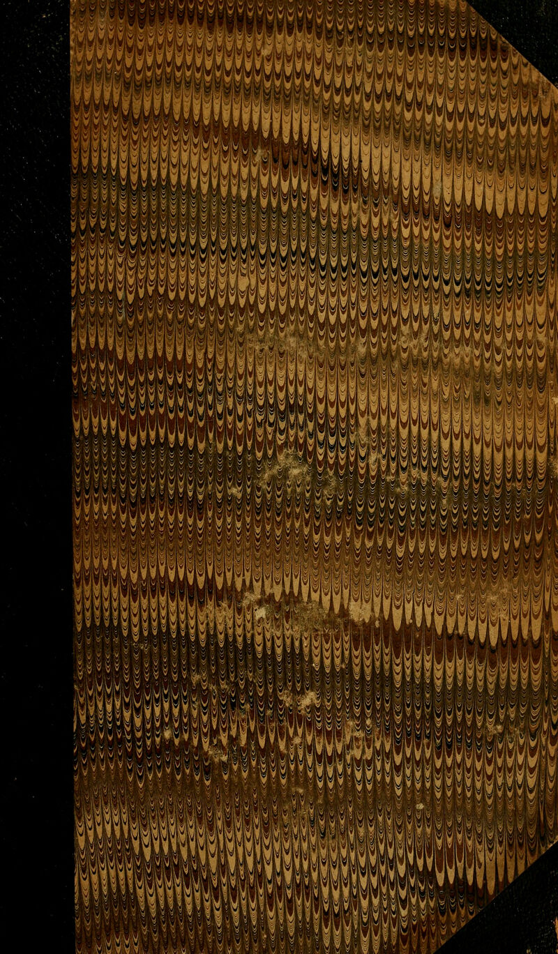 ^'m'm i^MMMi^Mii w^^m'^. ^ ,ïi '^ ï y «Si '» », ,«s^l.