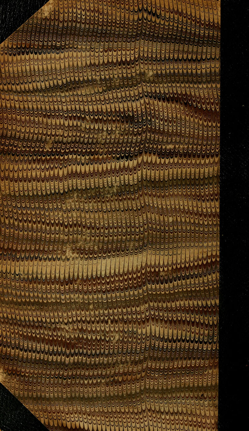 OTw^^^^^^^^ ;_iy, >g ,^5 ■>, ^ V -.^ - -- ^ v^ ^ ^ „ <, i' ■^. T-, ■ ]^î^h^^'^^\'<j:jZ' ,mmm^:m^ :vy^Ç^'^§^^^^^Ç, KÉ:^'«k'|fe,te,t?)^,^ li^liifilf^^^ ^^^^^^^^^^m^m