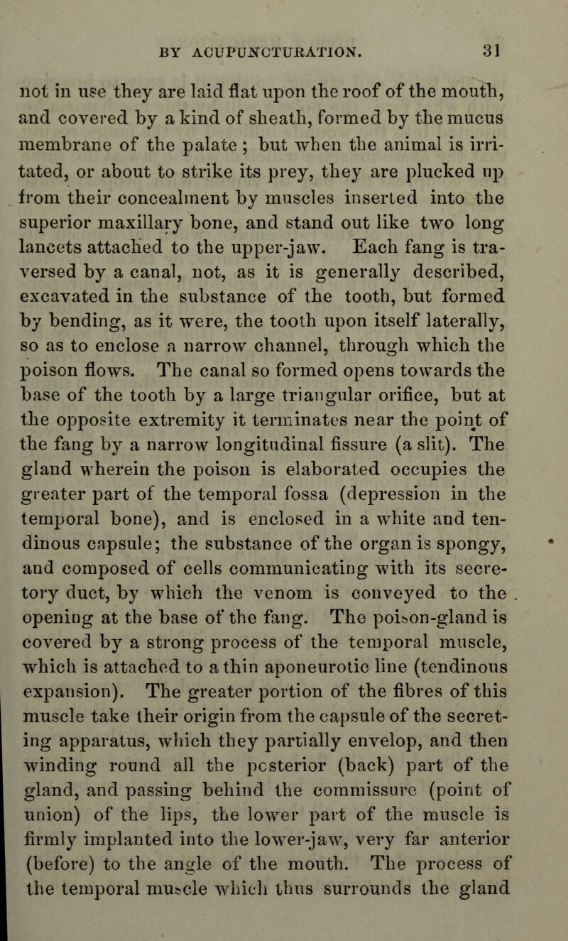 not in use they are laid flat upon the roof of the mouth, and covered by a kind of sheath, formed by the mucus membrane of the palate ; but when the animal is irri- tated, or about to strike its prey, they are plucked tip from their concealment by muscles inserted into the superior maxillary bone, and stand out like two long lancets attached to the upper-jaw. Each fang is tra- versed by a canal, not, as it is generally described, excavated in the substance of the tooth, but formed by bending, as it were, the tooth upon itself laterally, so as to enclose a narrow channel, through which the poison flows. The canal so formed opens towards the base of the tooth by a large triangular orifice, but at the opposite extremity it terminates near the point of the fang by a narrow longitudinal fissure (a slit). The gland wherein the poison is elaborated occupies the greater part of the temporal fossa (depression in the temporal bone), and is enclosed in a white and ten- dinous capsule; the substance of the organ is spongy, and composed of cells communicating with its secre- tory duct, by which the venom is conveyed to the . opening at the base of the fang. The poison-gland is covered by a strong process of the temporal muscle, which is attached to a thin aponeurotic line (tendinous expansion). The greater portion of the fibres of this muscle take their origin from the capsule of the secret- ing apparatus, which they partially envelop, and then winding round all the posterior (back) part of the gland, and passing behind the commissure (point of union) of the lips, the lower part of the muscle is firmly implanted into the lower-jaw, very far anterior (before) to the angle of the mouth. The process of the temporal muscle which thus surrounds the gland