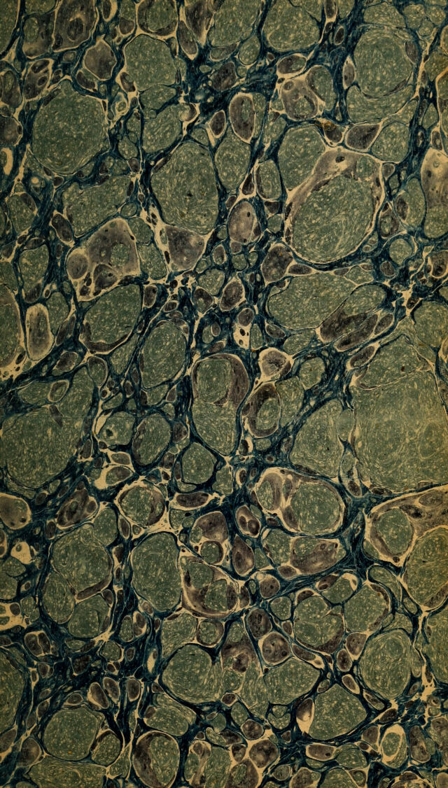 digitised image 3