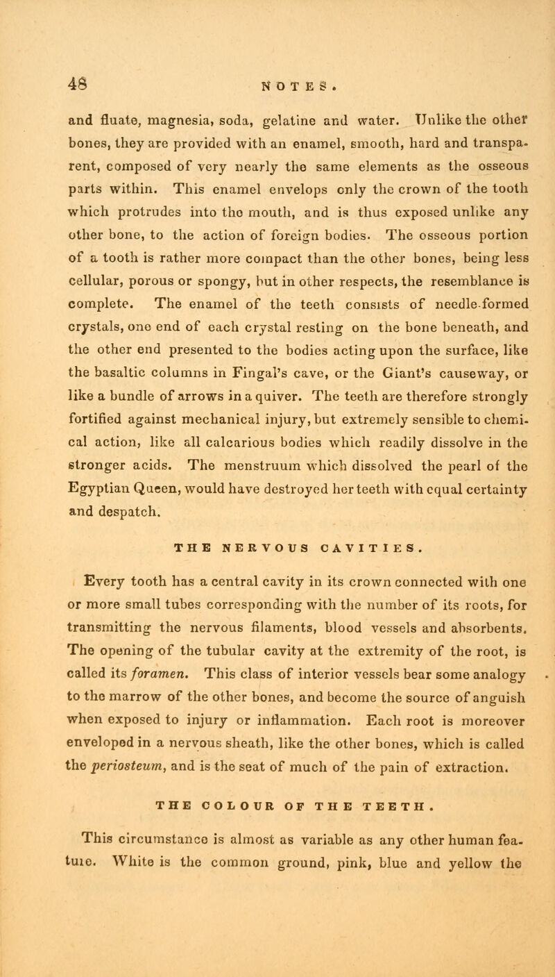 and filiate, magnesia, soda, gelatine and water. Unlike the other bones, they are provided with an enamel, smooth, hard and transpa- rent, composed of very nearly the same elements as the osseous parts within. This enamel envelops only the crown of the tooth which protrudes into the mouth, and is thus exposed unlike any other bone, to the action of foreign bodies. The osseous portion of a tooth is rather more compact than the other bones, being less cellular, porous or spongy, but in other respects, the resemblance is complete. The enamel of the teeth consists of needle formed crystals, one end of each crystal resting on the bone beneath, and the other end presented to the bodies acting upon the surface, like the basaltic columns in Fingal's cave, or the Giant's causeway, or like a bundle of arrows in a quiver. The teeth are therefore strongly fortified against mechanical injury, but extremely sensible to chemi- cal action, like all calcarious bodies which readily dissolve in the stronger acids. The menstruum which dissolved the pearl of the Egyptian Queen, would have destroyed her teeth with equal certainty and despatch. THE NERVOUS CAVITIES. Every tooth has a central cavity in its crown connected with one or more small tubes corresponding with the number of its roots, for transmitting the nervous filaments, blood vessels and absorbents. The opening of the tubular cavity at the extremity of the root, is called its foramen. This class of interior vessels bear some analogy to the marrow of the other bones, and become the source of anguish when exposed to injury or inflammation. Each root is moreover enveloped in a nervous sheath, like the other bones, which is called the periosteum, and is the seat of much of the pain of extraction. THE COLOUR OF THE TEETH. This circumstanco is almost as variable as any other human fea- tuie. White is the common ground, pink, blue and yellow the