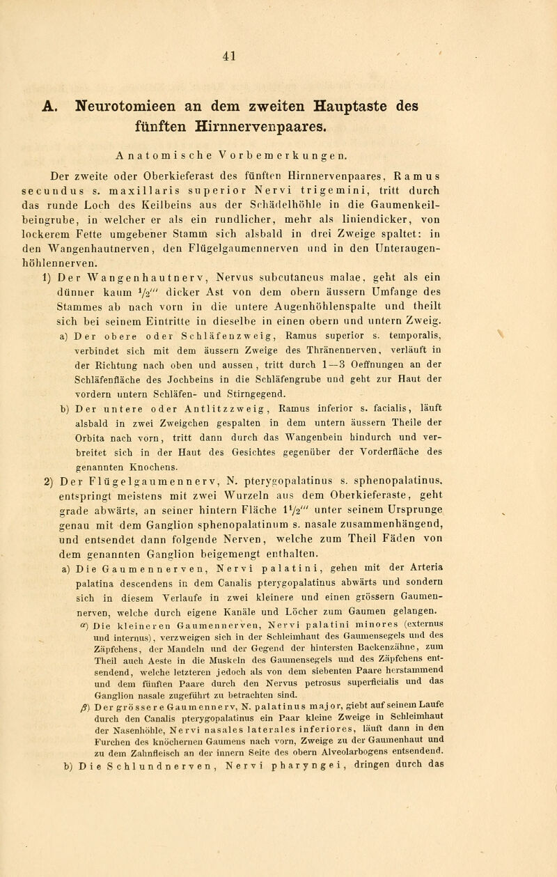 A. Neurotomieen an dem zweiten Hauptaste des fünften Hirnnervenpaares. Anatomische Vorbemerkungen, Der zweite oder Oberkieferast des fünften Hirnnervenpaares, Ramus secundus s. maxillaris superior Nervi trigemini, tritt durch das runde Loch des Keilbeins aus der Srhädelhöhle in die Gaumenkeil- beiagrube, in welcher er als ein rundlicher, mehr als liniendicker, von lockerem Fette umgebener Stamm sich alsbald in drei Zweige spaltet: in den Wangenhautnerven, den Flügelgaumennerven und in den Unteraugen- höhlennerven. 1) Der Wangenhautnerv, Nervus subcutaneus malae, geht als ein dünner kaum Va' dicker Ast von dem obern äussern Umfange des Stammes ab nach vorn in die untere Augenhöhlenspalte und theilt sich bei seinem Eintritte in dieselbe in einen obern und untern Zweig. a)Der obere oder Schläfenzweig, Ramus superior s. temporalis, verbindet sich mit dem äussern Zweige des Thränennerven, verläuft in der Richtung nach oben und aussen, tritt durch 1—3 Oeifnungen an der Schläfeüfläche des Jochheins in die Schläfengrube und gebt zur Haut der vordem untern Schläfen- und Stirngegend. b) Der untere oder Antlitzzweig, Ramus inferior s. facialis, läuft alsbald in zwei Zweigchen gespalten in dem untern äussern Theile der Orbita nach vorn, tritt dann durch das Wangenbein hindurch und ver- breitet sich in der Haut des Gesichtes gegenüber der Vorderfläche des genannten Knochens. 2) Der Flügelgaumennerv, N. pterygopalatinus s. sphenopalatinus, entspringt meistens mit zwei Wurzeln aus dem Oberkieferaste, geht grade abwärts, an seiner hintern Fläche IV2' unter seinem Ursprünge genau mit dem Ganglion sphenopalatinum s. nasale zusammenhängend, und entsendet dann folgende Nerven, welche zum Theil Fäden von dem genannten Ganglion beigemengt enthalten. a) Die Gaumennerven, Nervi palatini, gehen mit der Arteria palatina descendens in dem Canalis pterygopalatinus abwärts und sondern sich in diesem Verlaufe in zwei kleinere und einen grössern Gaumen- nerven, welche durch eigene Kanäle und Löcher zum Gaumen gelangen. ) Die kleineren Gaiimennerven, Nervi palatini minores (externus und internus), verzweig-en sich in der Schleimhaut des Gaumensegels und des Zäpfchens, der Mandeln und der Gegend der hintersten Backenzähne, zum Theil auch Aeste in die Muskeln des Gaumensegels und des Zäpfchens ent- sendend, welche letzteren jedoch als von dem siebenten Paare herstammend und dem fünften Paare durch den Nervus petrosus superficialis und das Ganglion nasale zugeführt zu betrachten sind. ß) Der grössere Gauinennerv, N. palatinus major, gieht auf seinem Laufe durch den Canalis pterygopalatinus ein Paar kleine Zweige in Schleimhaut der Nasenhöhle, Nervi nasales laterales inferiores, läuft dann in den Furchen des knöchernen Gaumens nach vorn, Zweige zu der Gaumenhaut und zu dem Zahnfleisch an der Innern Seite des obern Alveolarbogens entsendend. b)DieSchlundnerYen, Nervi pharyngei, dringen durch das