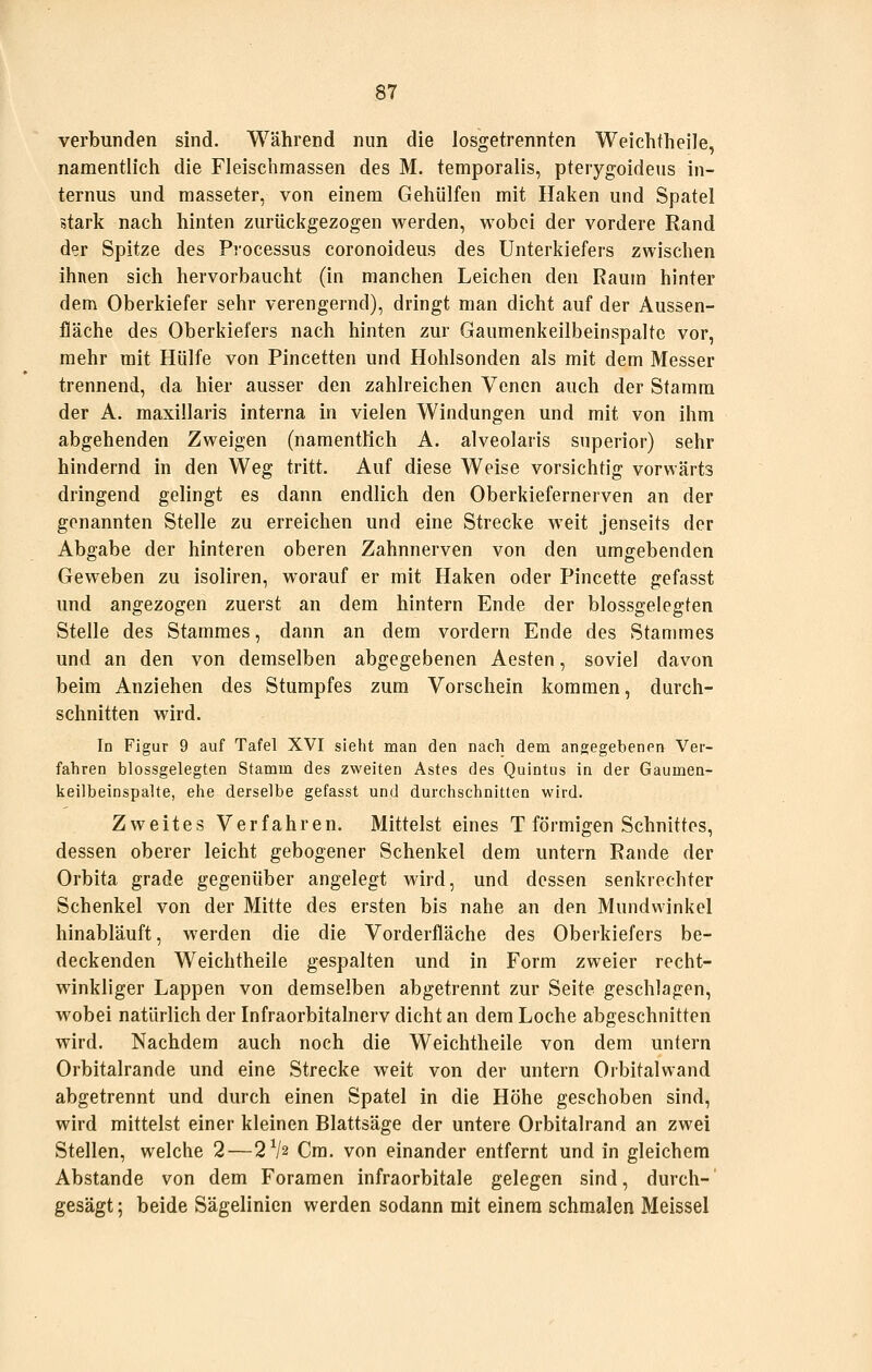 verbunden sind. Während nun die losgetrennten Weichtheile, namentlich die Fleischmassen des M. temporalis, pterygoideus in- ternus und masseter, von einem Gehülfen mit Haken und Spatel stark nach hinten zurückgezogen werden, wobei der vordere Rand der Spitze des Processus coronoideus des Unterkiefers zwischen ihnen sich hervorbaucht (in manchen Leichen den Raum hinter dem Oberkiefer sehr verengernd), dringt man dicht auf der Aussen- fläche des Oberkiefers nach hinten zur Gaumenkeilbeinspaltc vor, mehr mit Hülfe von Pincetten und Hohlsonden als mit dem Messer trennend, da hier ausser den zahlreichen Venen auch der Stamm der A. maxillaris interna in vielen Windungen und mit von ihm abgehenden Zweigen (namentHch A. alveolaris superior) sehr hindernd in den Weg tritt. Auf diese Weise vorsichtig vorwärts dringend gelingt es dann endlich den Oberkiefernerven an der genannten Stelle zu erreichen und eine Strecke weit jenseits der Abgabe der hinteren oberen Zahnnerven von den umgebenden Geweben zu isoliren, worauf er mit Haken oder Pincette gefasst und angezogen zuerst an dem hintern Ende der blossgelegfen Stelle des Stammes, dann an dem vordem Ende des Stammes und an den von demselben abgegebenen Aesten, soviel davon beim Anziehen des Stumpfes zum Vorschein kommen, durch- schnitten wird. In Figur 9 auf Tafel XVI sieht man den nach dem angegebenen Ver- fahren blossgelegten Stamm des zweiten Astes des Quintus in der Gaumen- keilbeinspalte, ehe derselbe gefasst und durchschnitten wird. Zweites Verfahren. Mittelst eines T förmigen Schnittes, dessen oberer leicht gebogener Schenkel dem untern Rande der Orbita grade gegenüber angelegt wird, und dessen senkrechter Schenkel von der Mitte des ersten bis nahe an den Mundwinkel hinabläuft, werden die die Vorderfläche des Oberkiefers be- deckenden Weichtheile gespalten und in Form zweier recht- winkliger Lappen von demselben abgetrennt zur Seite geschlagen, wobei natürlich der Infraorbitalnerv dicht an dem Loche abgeschnitten wird. Nachdem auch noch die Weichtheile von dem untern Orbitalrande und eine Strecke weit von der untern Orbitalwand abgetrennt und durch einen Spatel in die Höhe geschoben sind, wird mittelst einer kleinen Blattsäge der untere Orbitalrand an zwei Stellen, welche 2—2V2 Cm. von einander entfernt und in gleichem Abstände von dem Foramen infraorbitale gelegen sind, durch- gesägt ; beide Sägelinien werden sodann mit einem schmalen Meissel