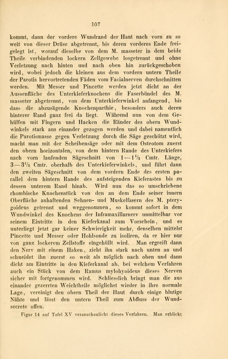 kommt, dann der vordere Wundrand der Haut nach vorn zu so weit von dieser Drüse abgetrennt, bis deren vorderes Ende frei-* gelegt ist, worauf dieselbe von dem M. masseter in dem beide Theile verbindenden lockern Zellgewebe losgetrennt und ohne Verletzung nach hinten und nach oben hin zurückgeschoben wird, wobei jedoch die kleinen aus dem vordem untern Theile der Parotis hervortretenden Fäden vom Facialnerven durchschnitten werden. Mit Messer und Pincette werden jetzt dicht an der Aussenfläche des Unterkieferknochens die Faserbündel des M, masseter abgetrennt, von dem Unterkieferwinkel anfangend, bis dass die abzusägende Knochenparthie, besonders auch deren hinterer Rand ganz frei da liegt. Während nun von dem Ge- hülfen mit Fingern und Hacken die Ränder des obern Wund- winkels stark aus einander gezogen werden und dabei namentlich die Parotisraasse gegen Verletzung durch die Säge geschützt wird, macht man mit der Scheibensäge oder mit dem Osteotom zuerst den obern horizontalen, von dem hintern Rande des Unterkiefers nach vorn laufenden Sägeschnitt von 1 — 1V2 Cmtr. Länge, 3 — 3V2 Cmtr. oberhalb des Unterkieferwinkels, und führt dann den zweiten Sägeschnitt von dem vordem Ende des ersten pa- rallel dem hintern Rande des aufsteigenden Kieferastes bis zu dessen unterem Rand hinab. Wird nun das so umschriebene rhombische Knochenstück von den an dem Ende seiner Innern Oberfläche anhaftenden Sehnen- und Muskelfasern des M. ptery- goideus getrennt und weggenommen, so kommt sofort in dem Wundwinkel des Knochens der Infraraaxillarnerv unmittelbar vor seinem Eintiitte in den Kieferkanal zum Vorschein, und es unterliegt jetzt gar keiner Schwierigkeit mehr, denselben mittelst Pincette und Messer oder Hohlsonde zu isoliren, da er hier nur von ganz lockerem Zellstoffe eingehüllt wird. Man ergreift dann den Nerv mit einem Haken, zieht ihn stark nach unten an und schneidet ihn zuerst so weit als möglich nach oben und dann dicht am Eintritte in den Kieferkanal ab, bei welchem Verfahren auch ein Stück von dem Ramus mylohyoideus dieses Nerven sicher mit fortgenommen wird. Schliesslich bringt man die aus einander gezerrten Weichtheile möglichst wieder in ihre normale Lage, vereinigt den obern Theil der Haut durch einige blutige Nähte und lässt den untern Theil zum Abfluss der Wund- secrete offen. Figur 14 auf Tafel XV veranschaulicht dieses Verfahren. Man eirblickt