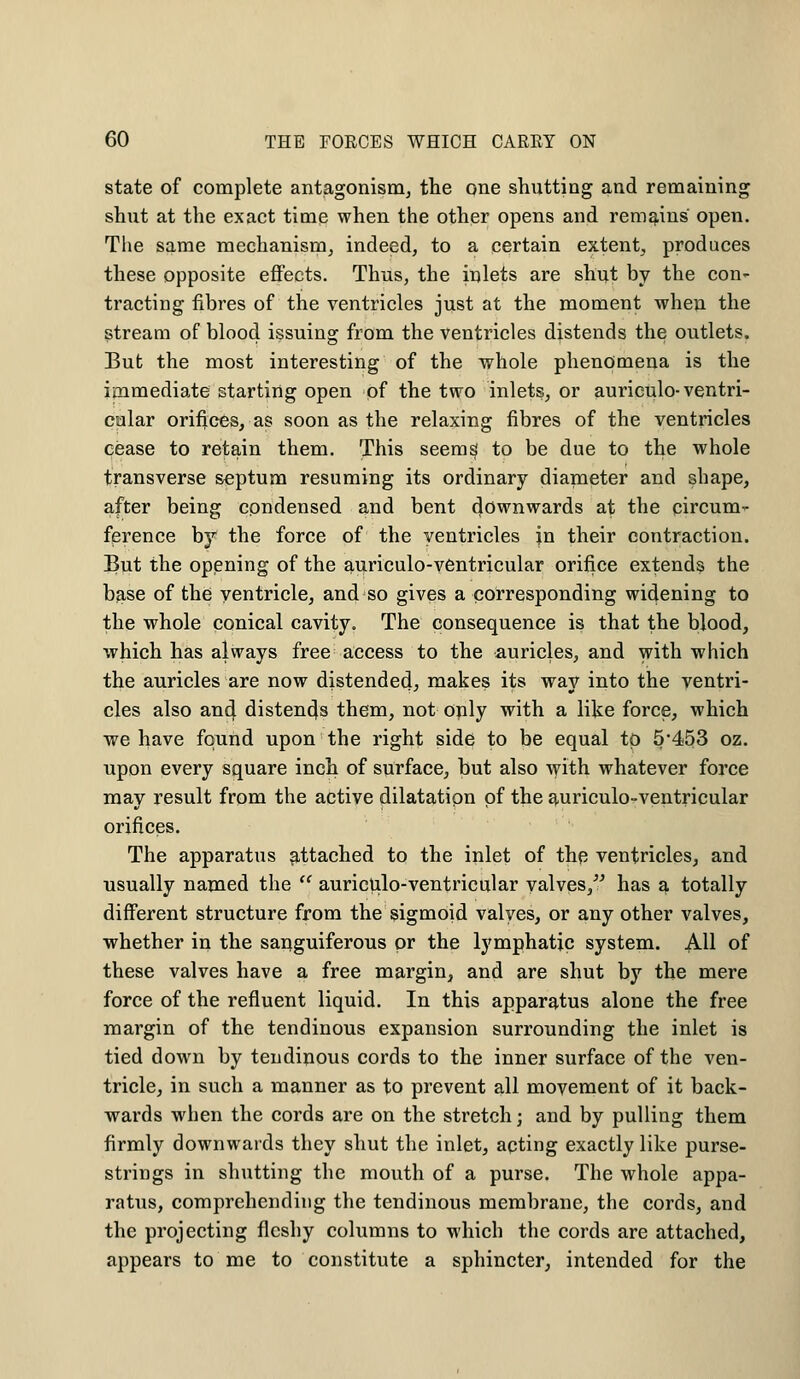 state of complete antagonism, the one shutting and remaining shut at the exact time when the other opens and remains open. The same mechanism, indeed, to a certain extent, produces these opposite effects. Thus, the inlets are shut by the con- tracting fibres of the ventricles just at the moment when the stream of blood issuing from the ventricles distends the outlets. But the most interesting of the whole phenomena is the immediate starting open of the two inlets, or aurieulo-ventri- cular orifices, as soon as the relaxing fibres of the ventricles cease to retain them. This seems to be due to the whole transverse septum resuming its ordinary diameter and shape, after being condensed and bent downwards at the circum- ference by the force of the ventricles in their contraction. But the opening of the auriculo-ventricular orifice extends the base of the ventricle, and so gives a corresponding widening to the whole conical cavity. The consequence is that the blood, which has always free access to the auricles, and with which the auricles are now distended, makes its way into the ventri- cles also ancf distends them, not only with a like force, which we have found upon the right side to be equal to 5*453 oz. upon every square inch of surface, but also with whatever force may result from the active dilatation of the auriculo-ventricular orifices. The apparatus attached to the inlet of the ventricles, and usually named the  auriculo-ventricular valves, has a totally different structure from the sigmoid valves, or any other valves, whether in the sanguiferous or the lymphatic system. All of these valves have a free margin, and are shut by the mere force of the refluent liquid. In this apparatus alone the free margin of the tendinous expansion surrounding the inlet is tied down by tendinous cords to the inner surface of the ven- tricle, in such a manner as to prevent all movement of it back- wards when the cords are on the stretch; and by pulling them firmly downwards they shut the inlet, acting exactly like purse- strings in shutting the mouth of a purse. The whole appa- ratus, comprehending the tendinous membrane, the cords, and the projecting fleshy columns to which the cords are attached, appears to me to constitute a sphincter, intended for the