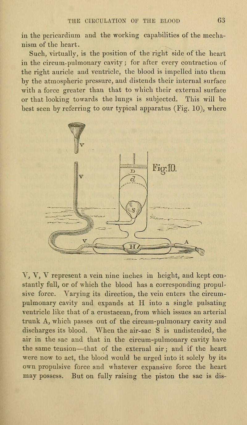 in the pericardium and the working capabilities of the mecha- nism of the heart. Such, virtually, is the position of the right side of the heart in the circum-pulmonary cavity; for after every contraction of the right auricle and ventricle, the blood is impelled into them by the atmospheric pressure, and distends their internal surface with a force greater than that to which their external surface or that looking towards the lungs is subjected. This will be best seen by referring to our typical apparatus (Fig. 10), where Y, V, V represent a vein nine inches in height, and kept con- stantly full, or of which the blood has a corresponding propul- sive force. Varying its direction, the vein enters the circum- pulmonary cavity and expands at H into a single pulsating ventricle like that of a crustacean, from which issues an arterial trunk A, which passes out of the circum-pulmonary cavity and discharges its blood. When the air-sac S is undistended, the air in the sac and that in the circum-pulmonary cavity have the same tension—that of the external air; and if the heart were now to act, the blood would be urged into it solely by its own propulsive force and whatever expansive force the heart may possess. But on fully raising the piston the sac is dis-